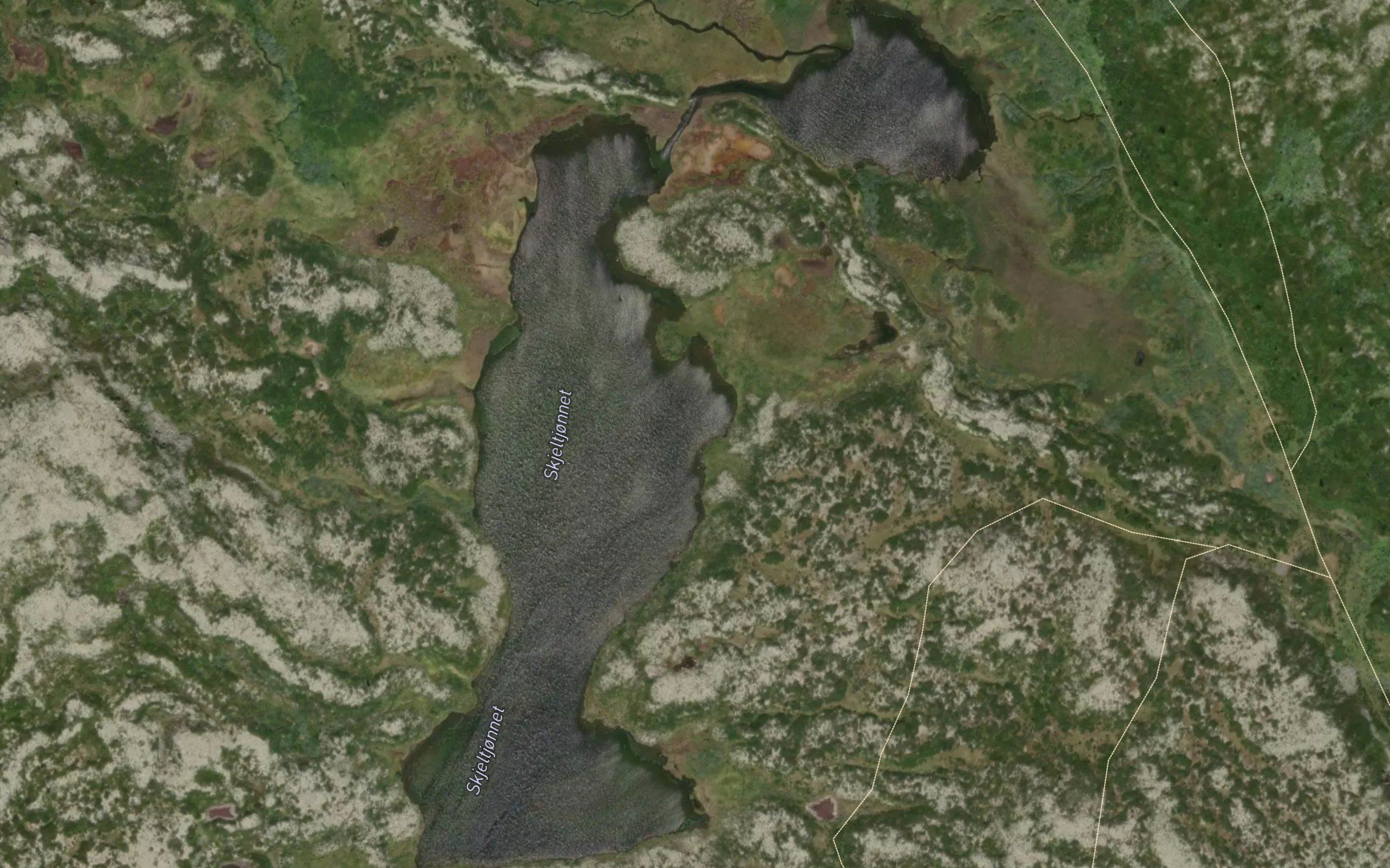 Skjeltjornet