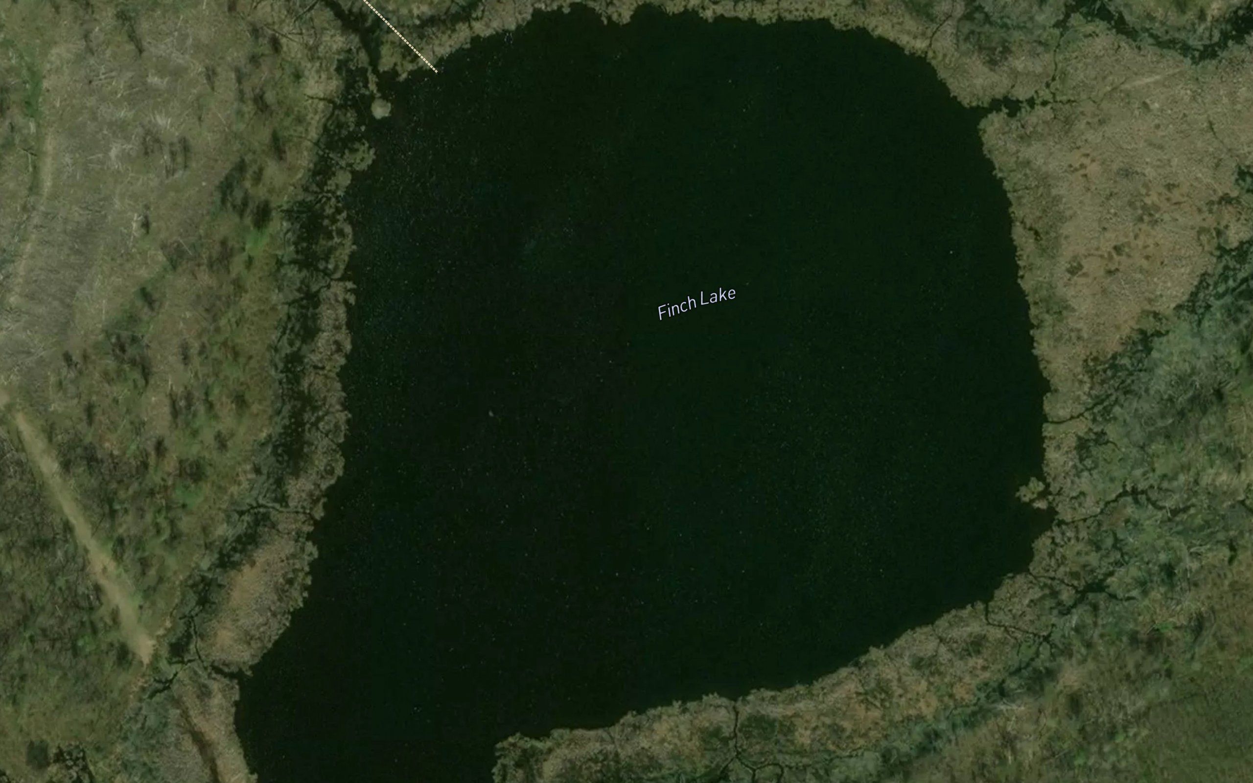 Finch Lake