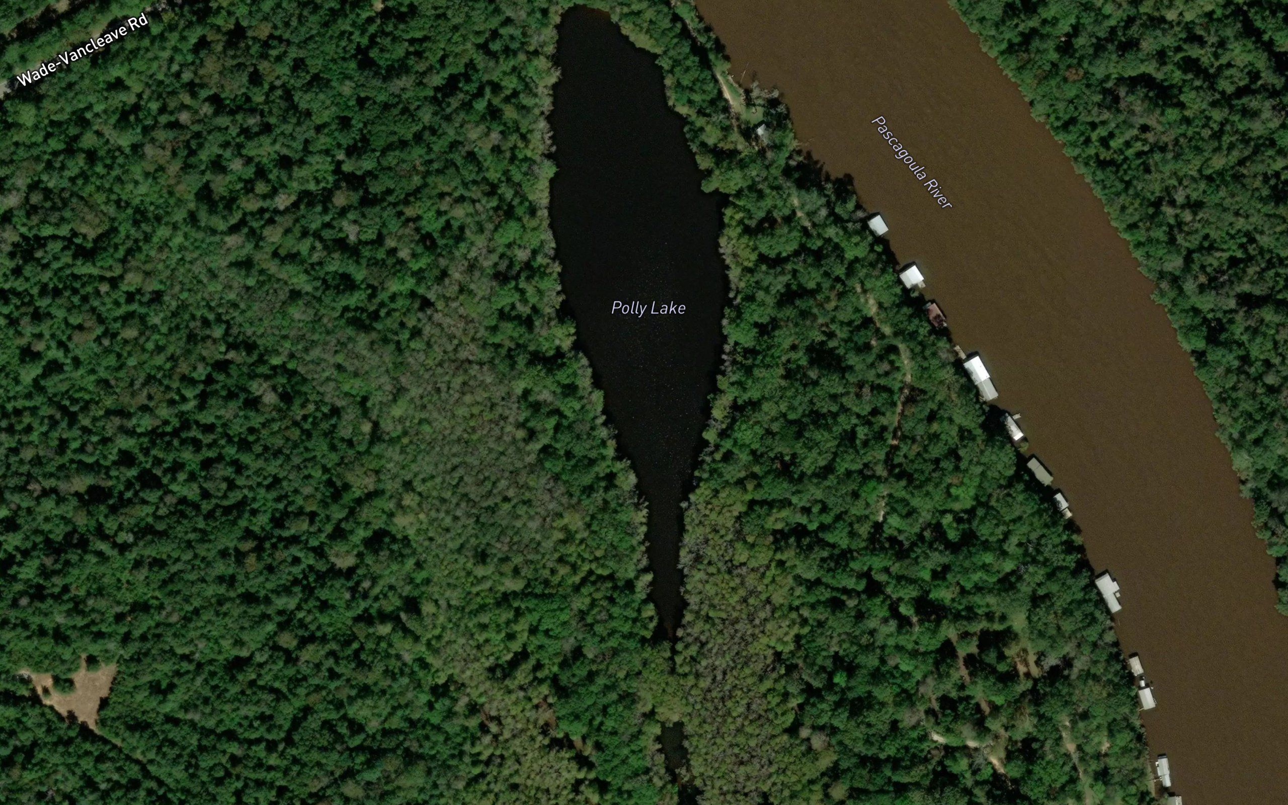 Polly Lake