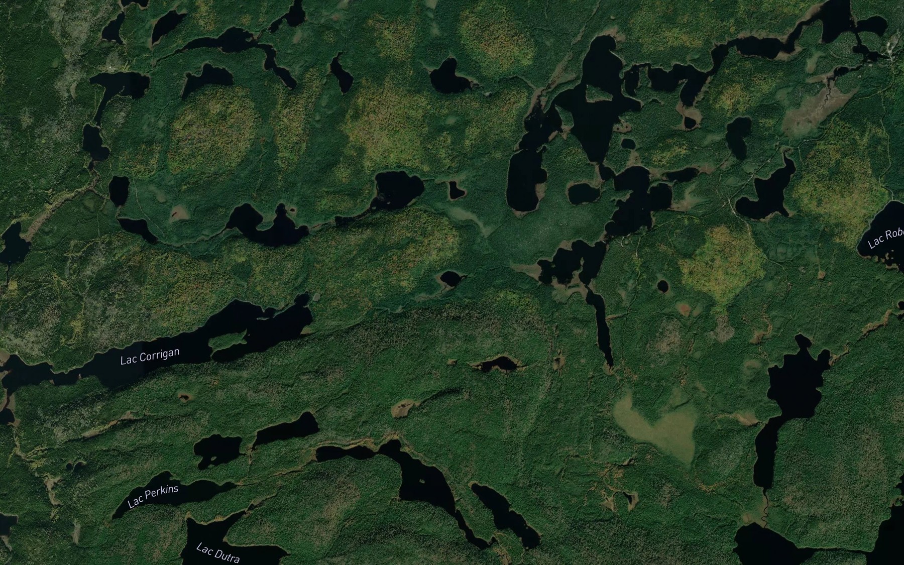 Satellite map of the Lac du Canif