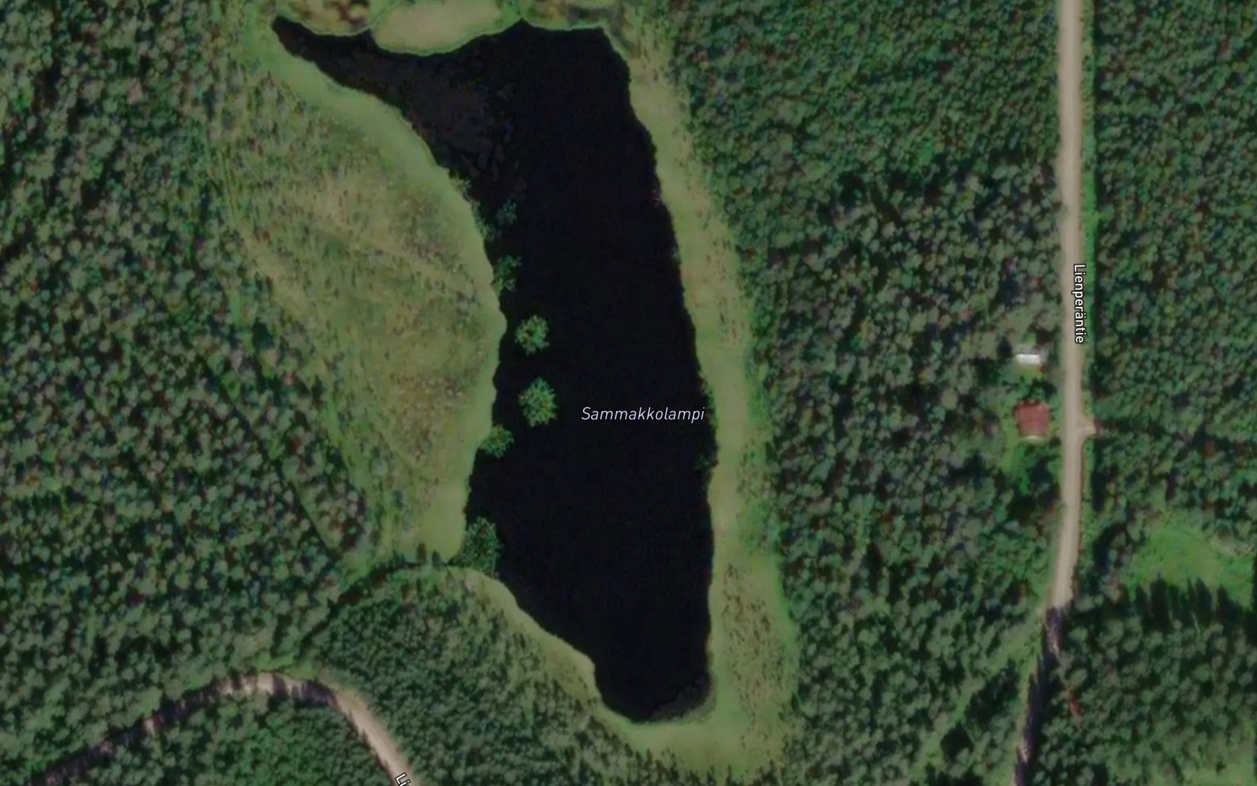 Satellite map of the Sammakkolampi