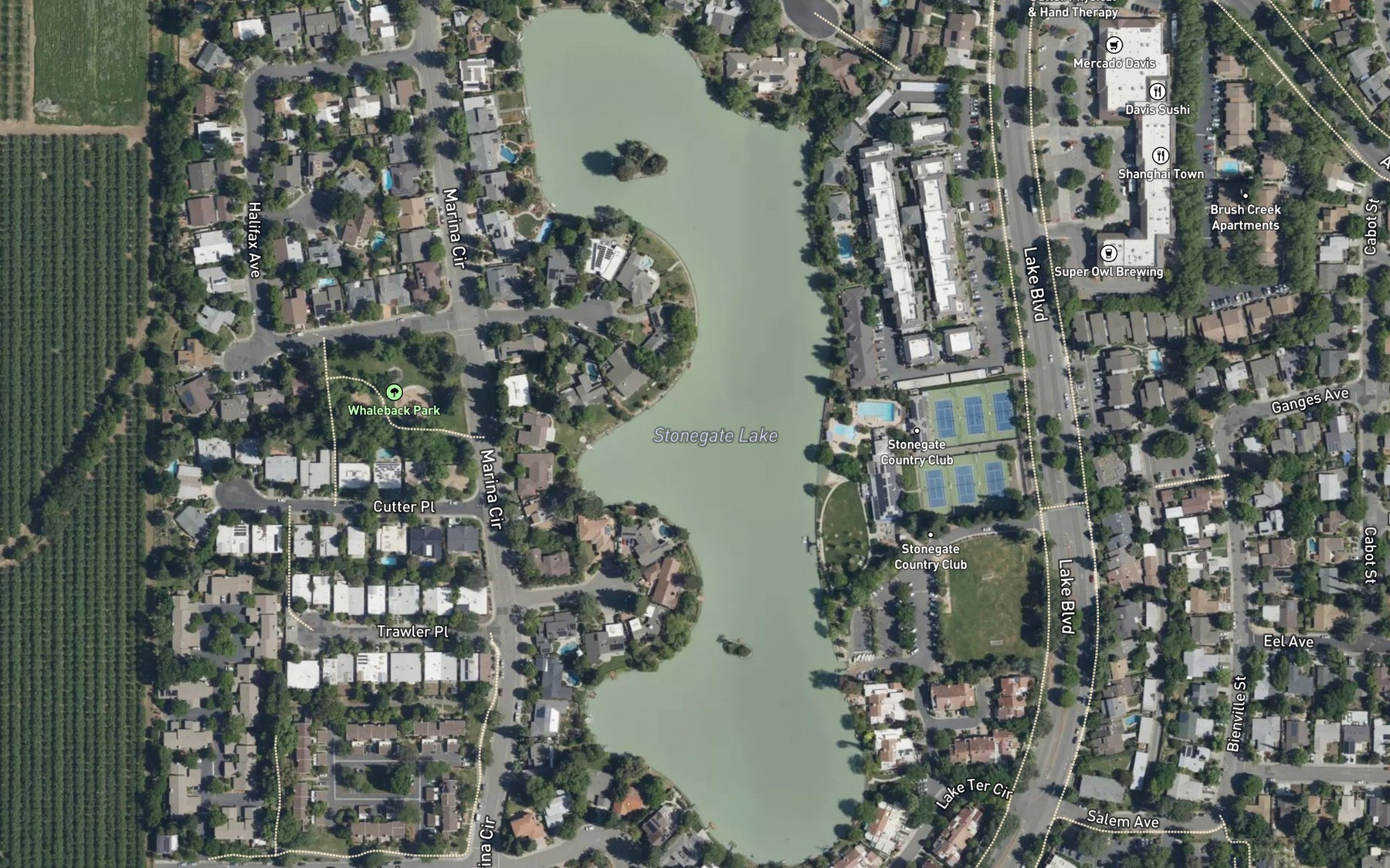 Satellite map of the Stonegate Lake