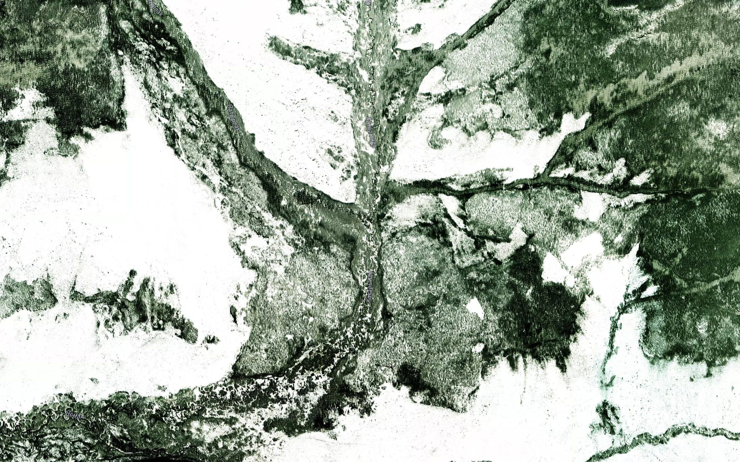Patyrlak