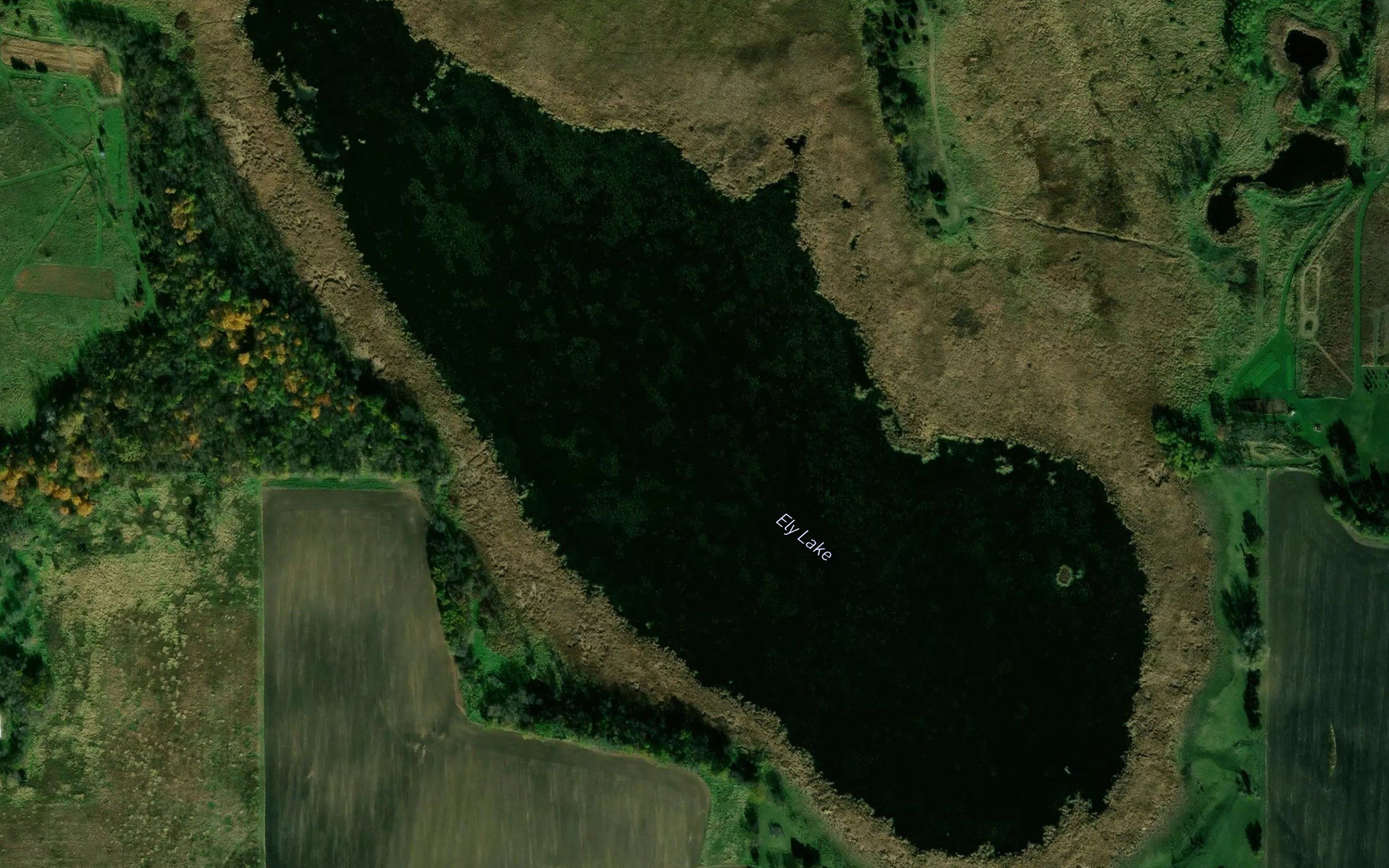 Ely Lake
