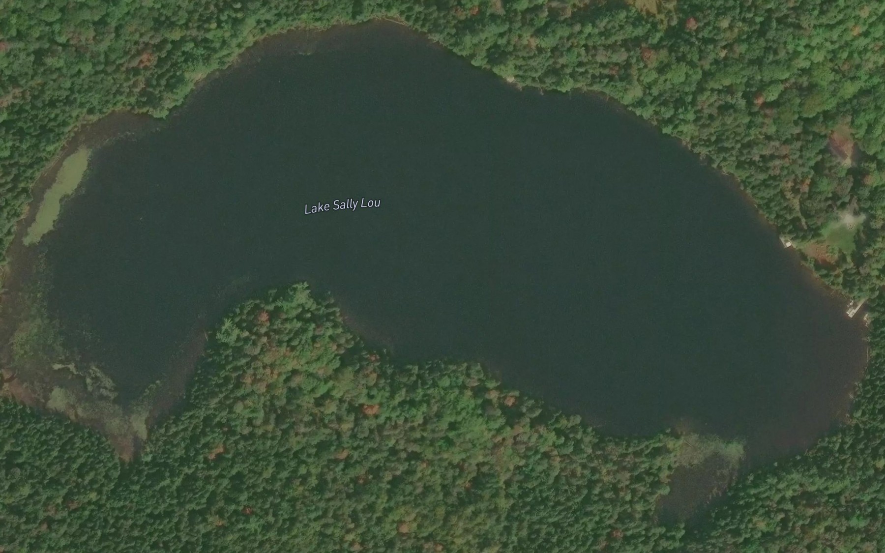 Satellite map of the Lake Sally Lou