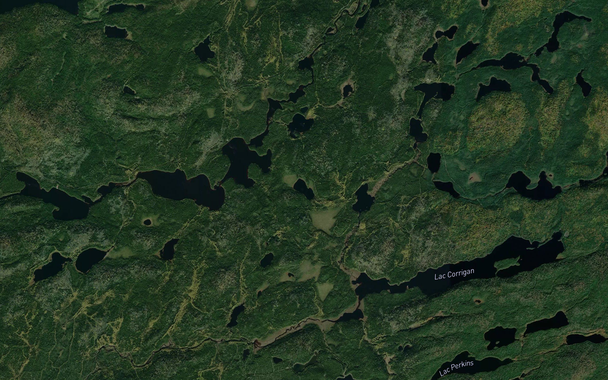Lac du Gorille