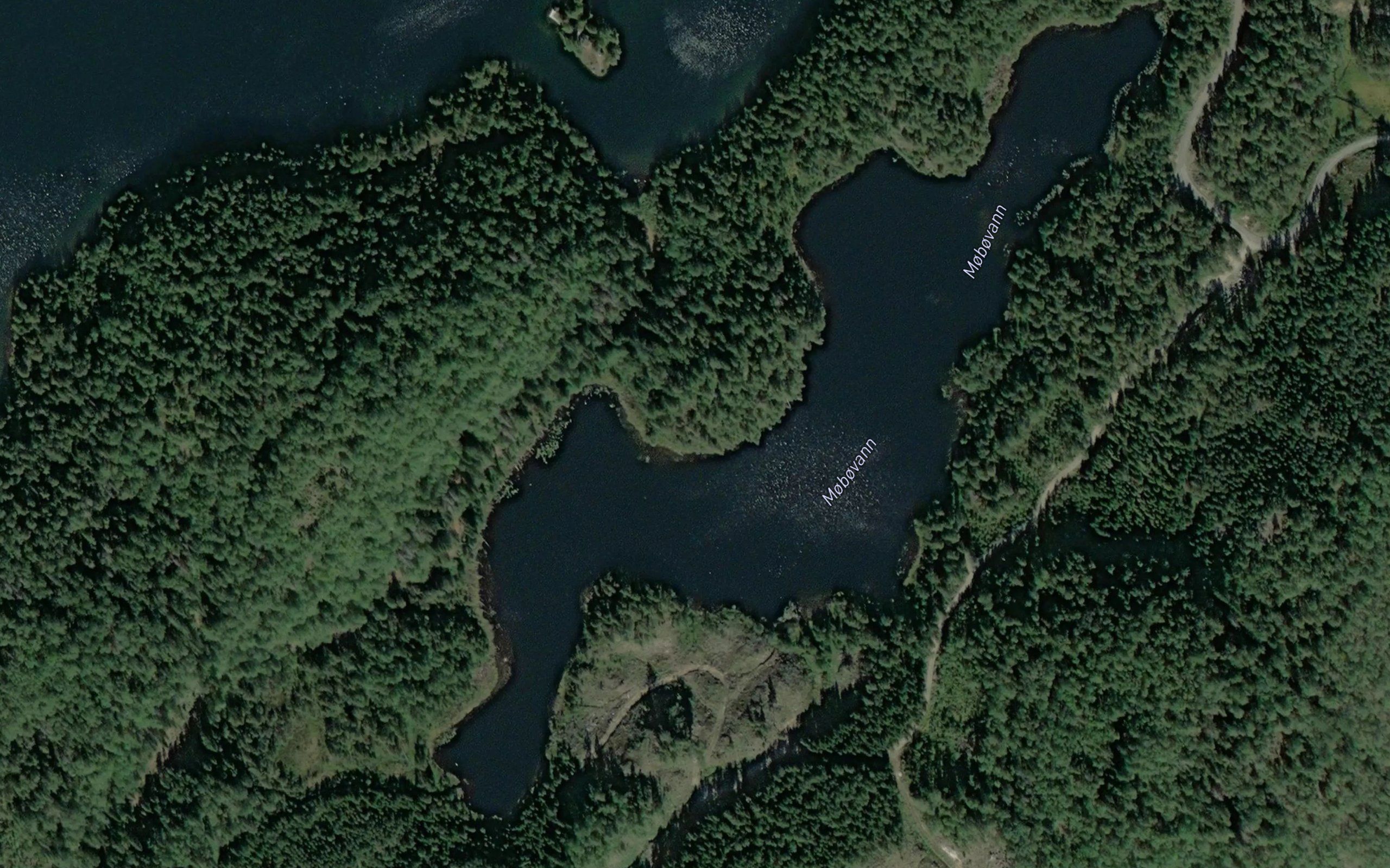Mobovann