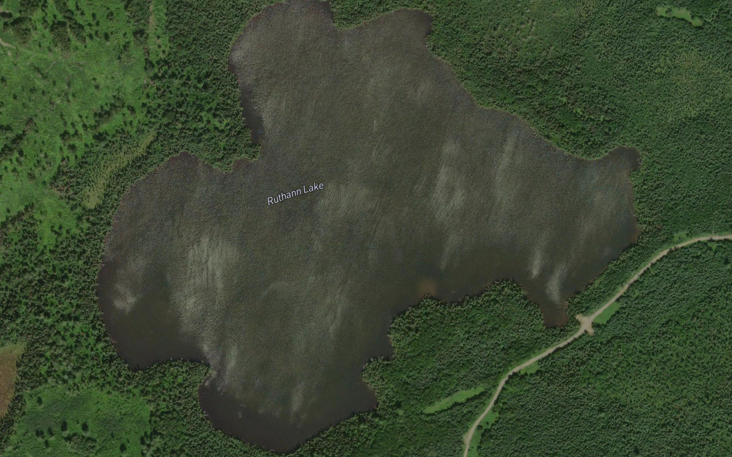 Ruthann Lake