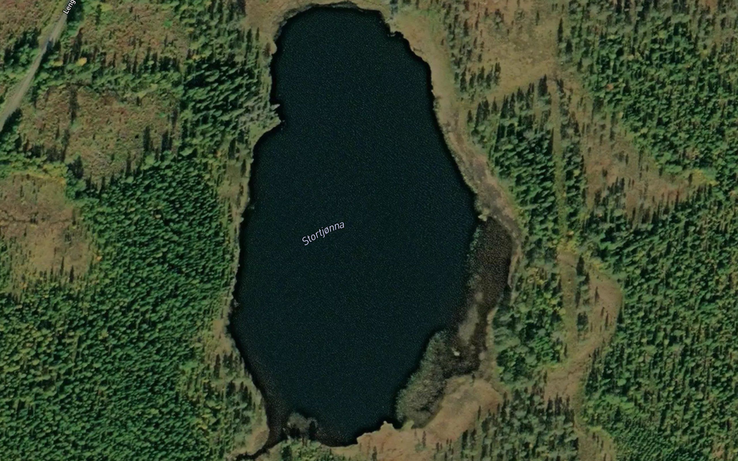 Stortjorna