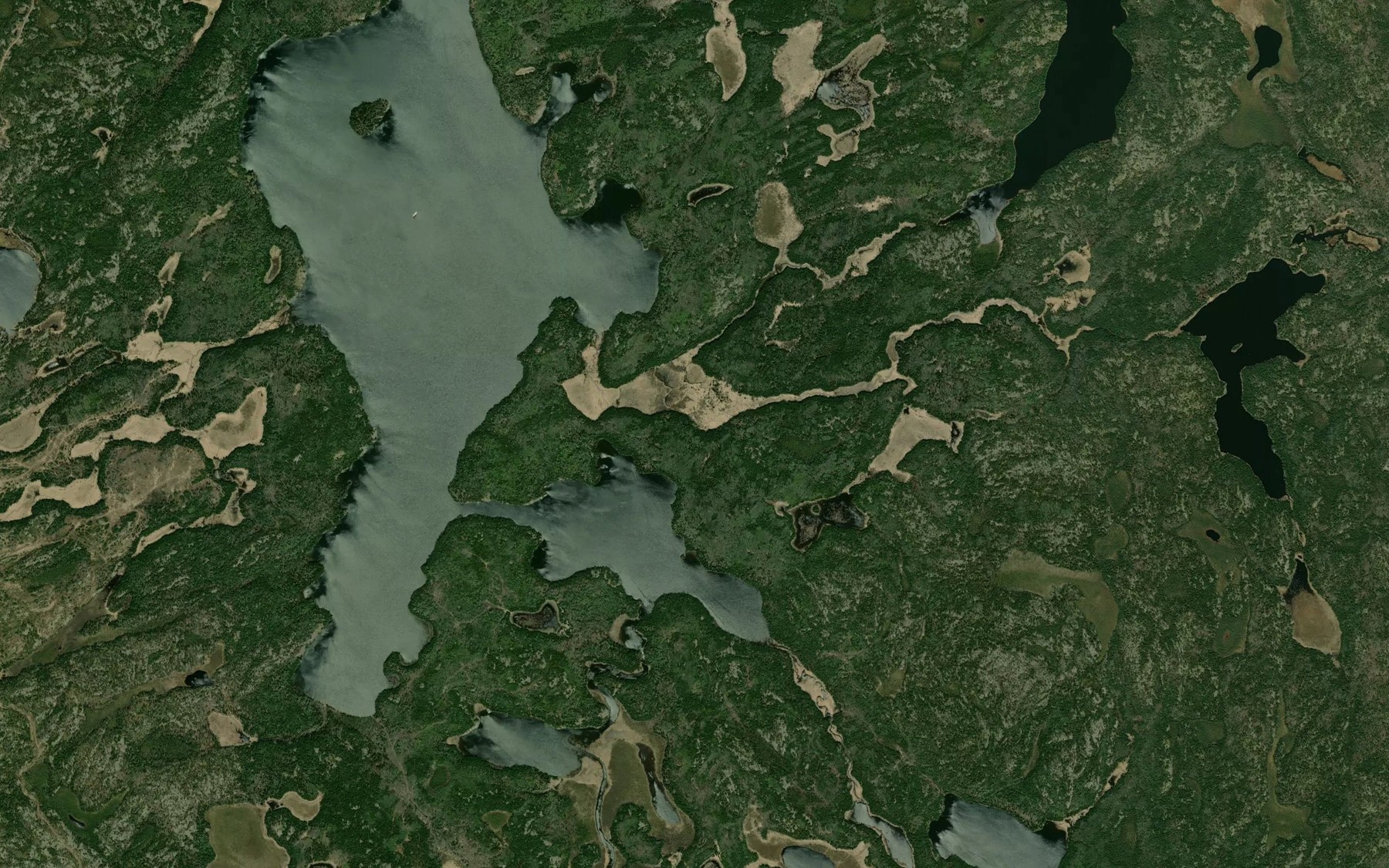 Satellite map of the Catastrophe Creek