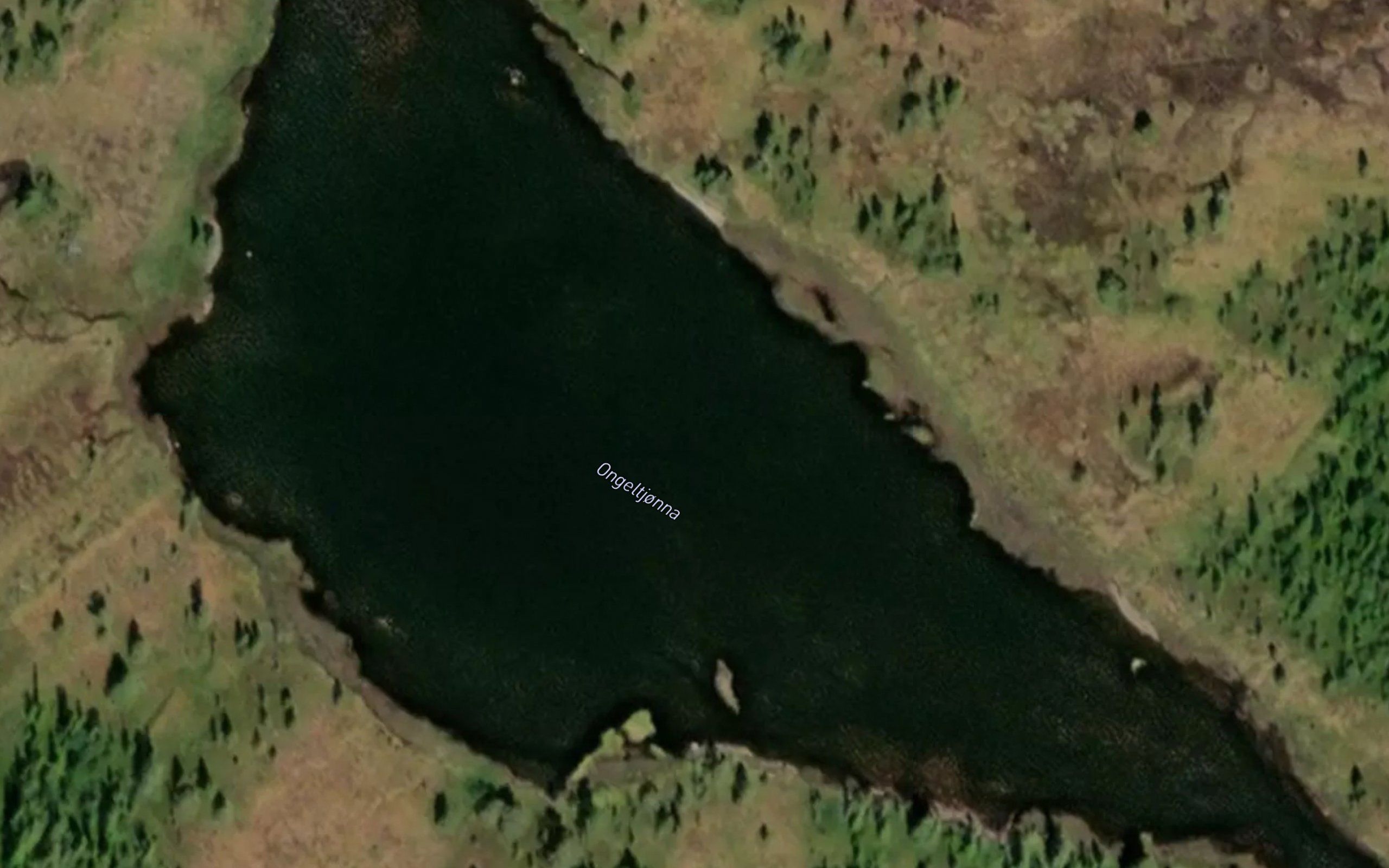 Ongeltjorna