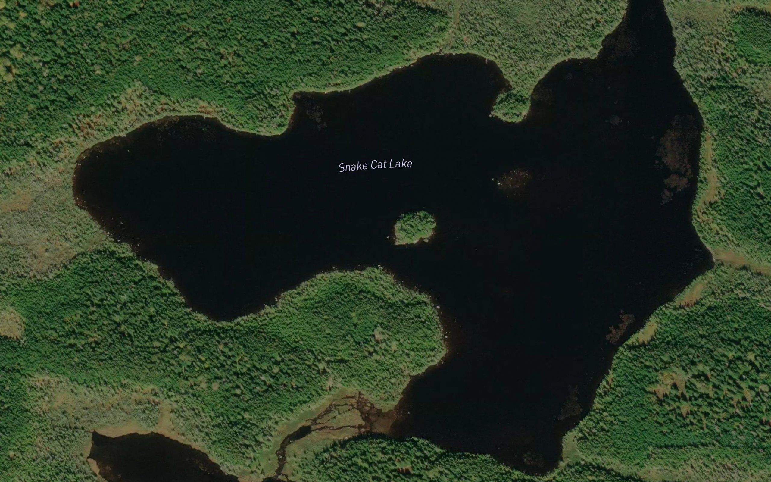 Snake Cat Lake