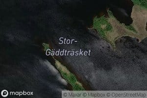 Stor-Gaddtrasket