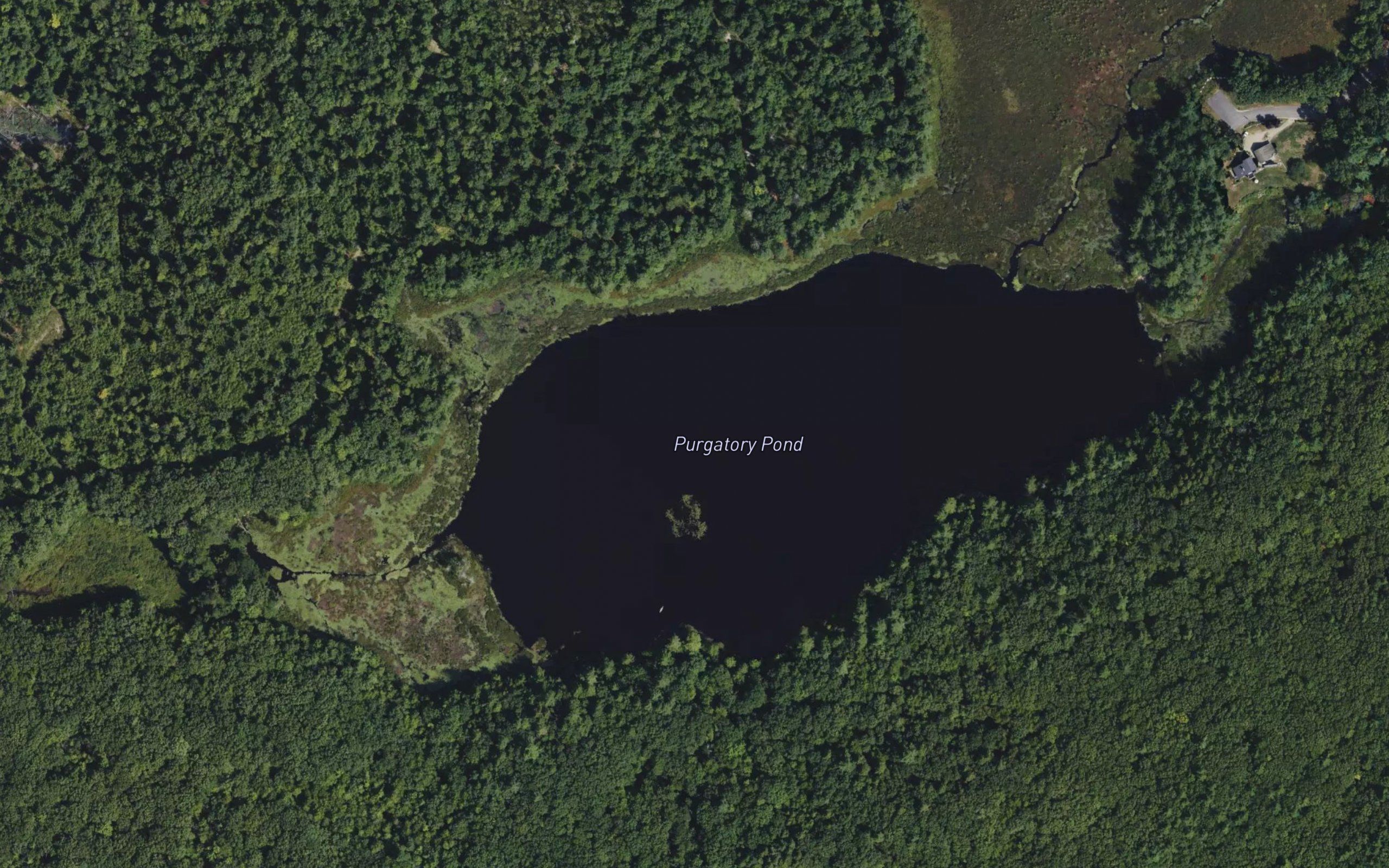 Purgatory Pond
