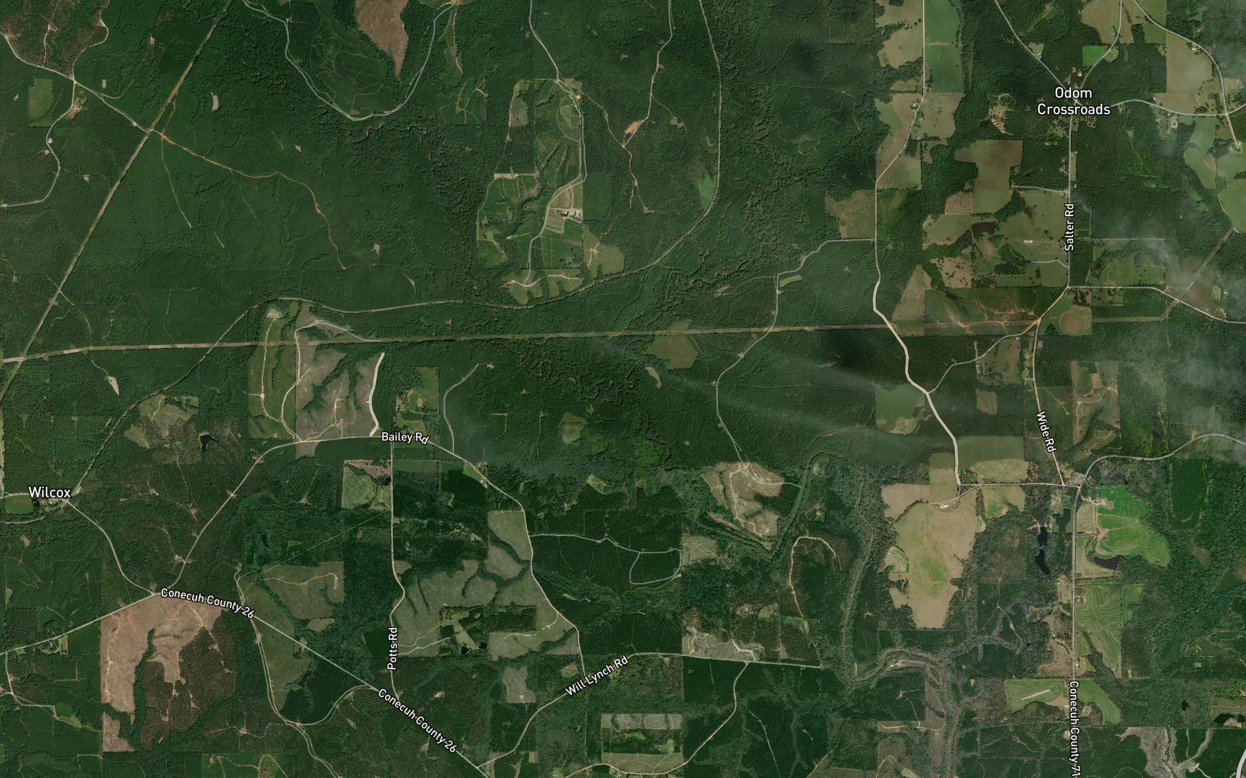Persimmon Creek