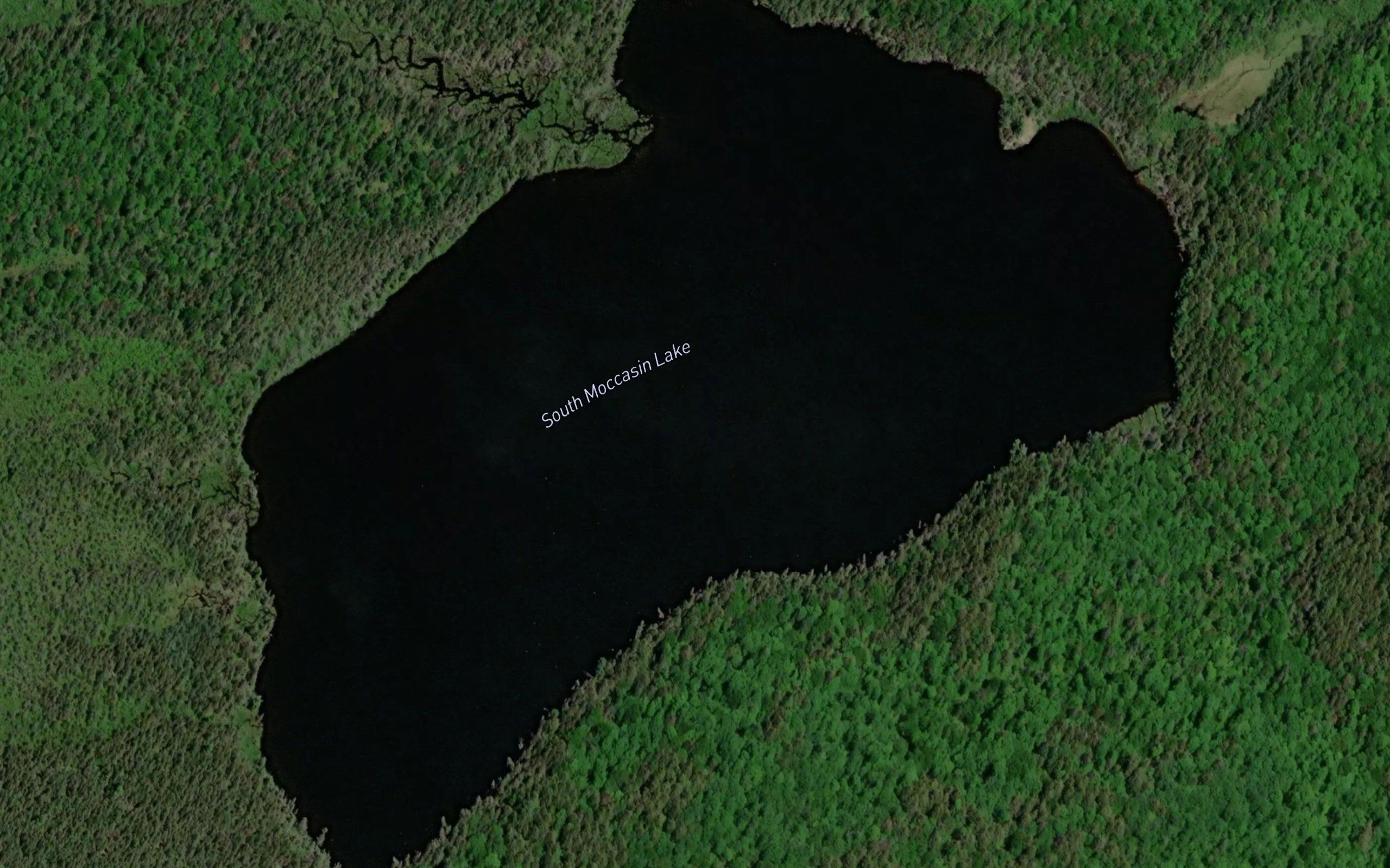 South Moccasin Lake