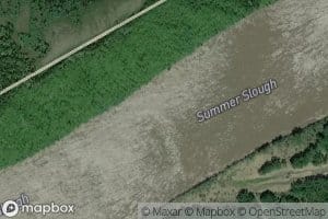 Summer Slough