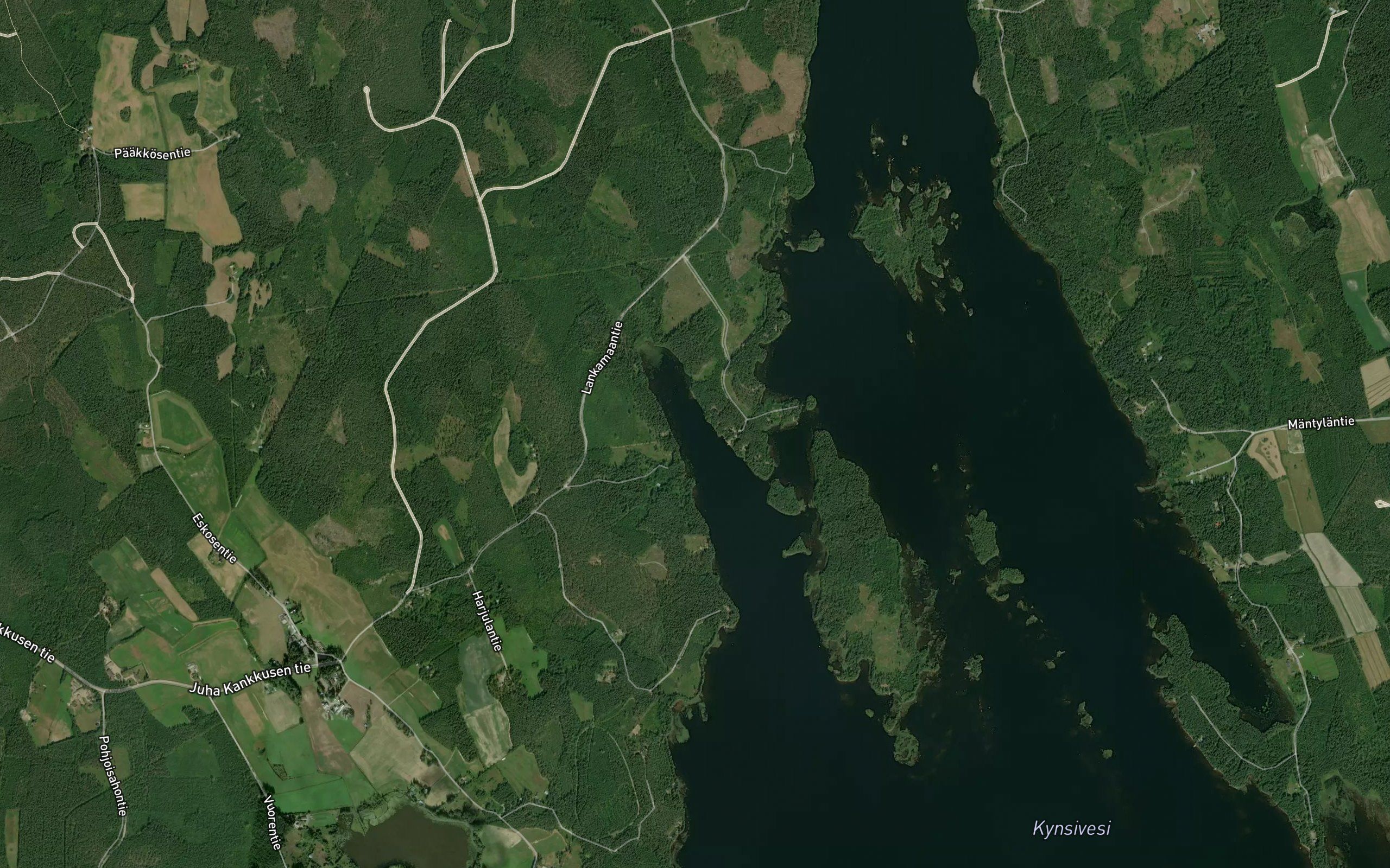 Pitkanpohjanlahti