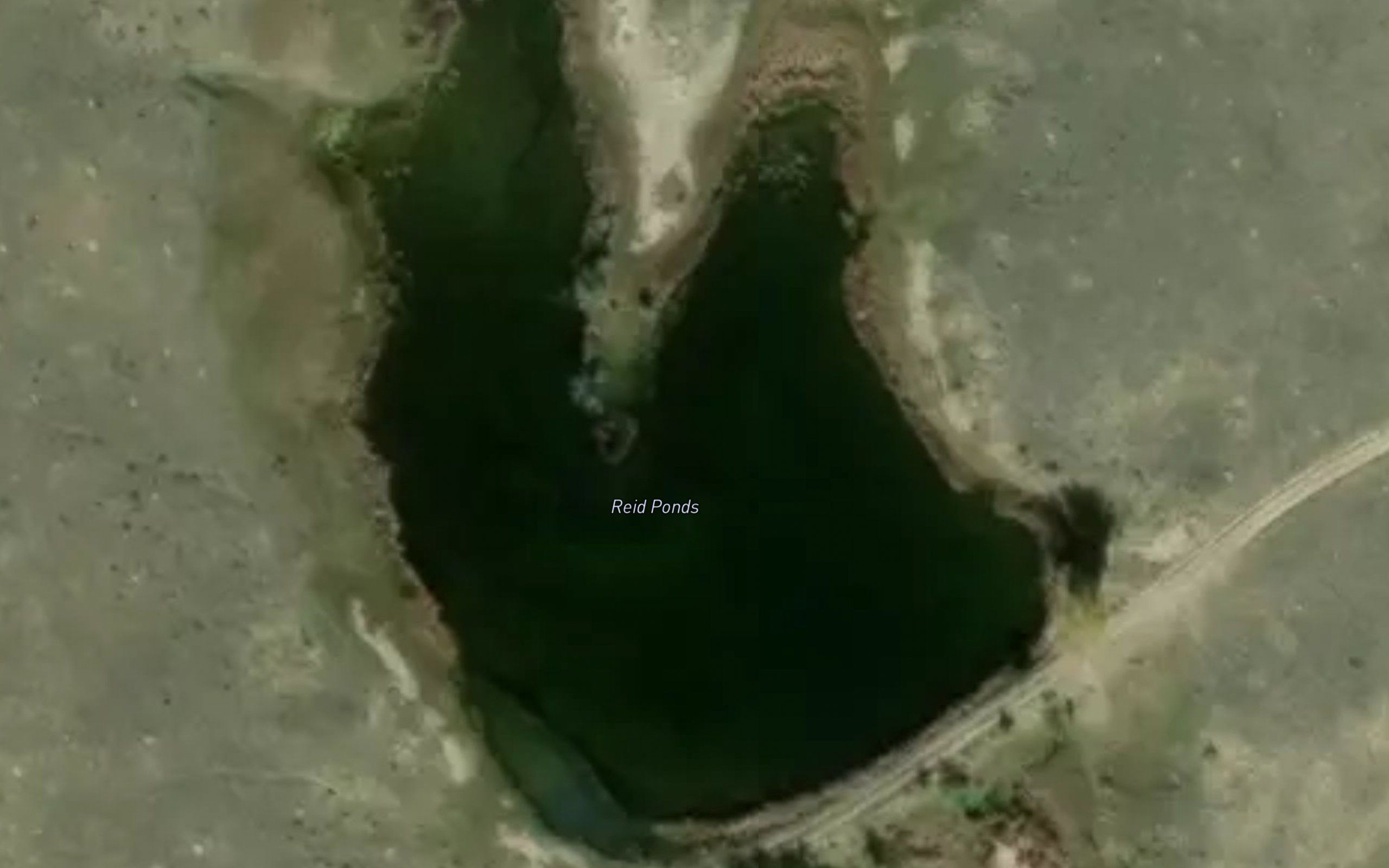 Reid Ponds