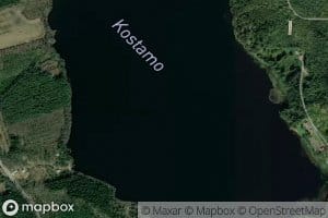 Kostamo