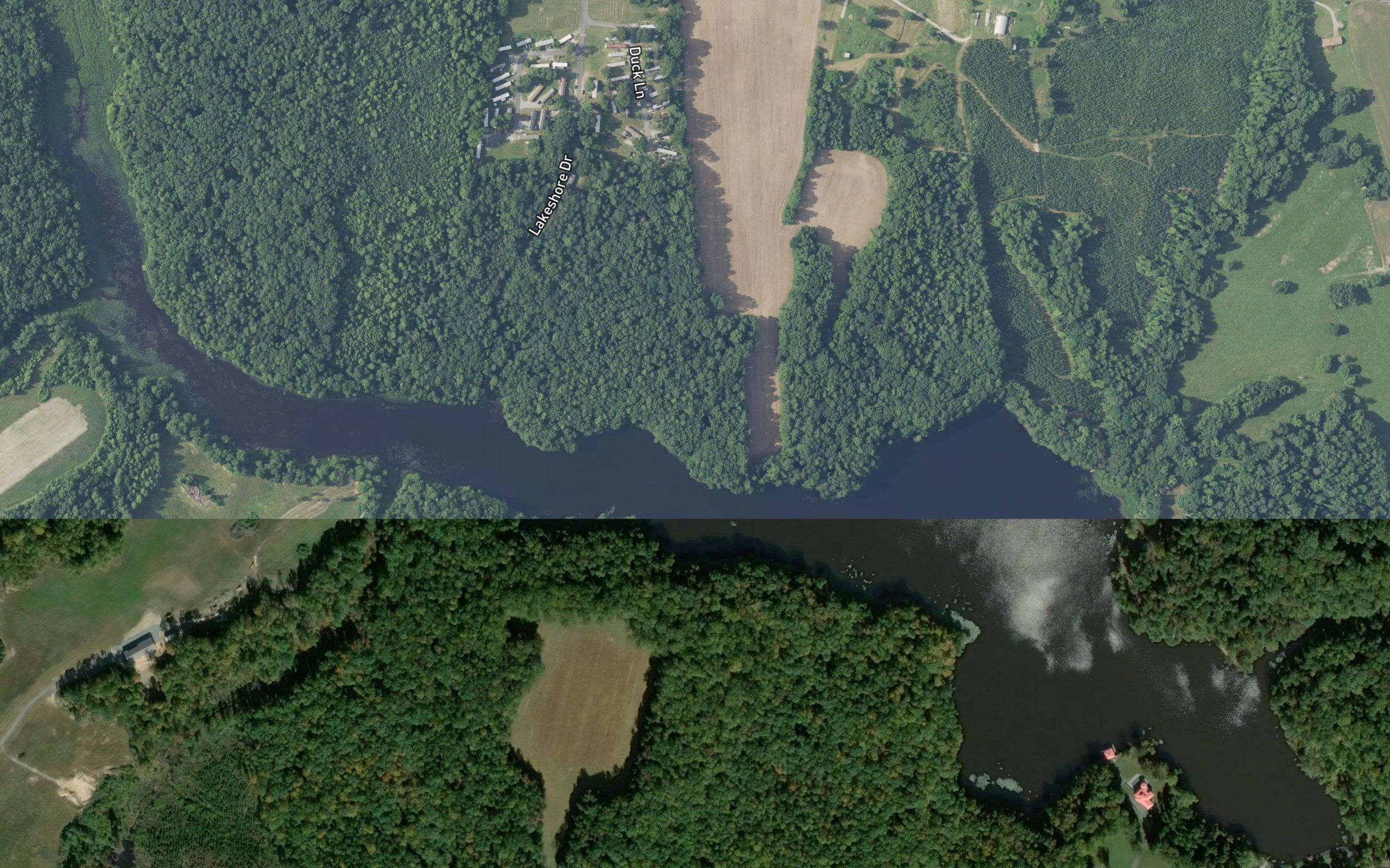 Elliots Pond