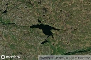 Hjarttjorna