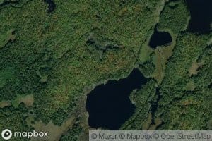 Feely Creek