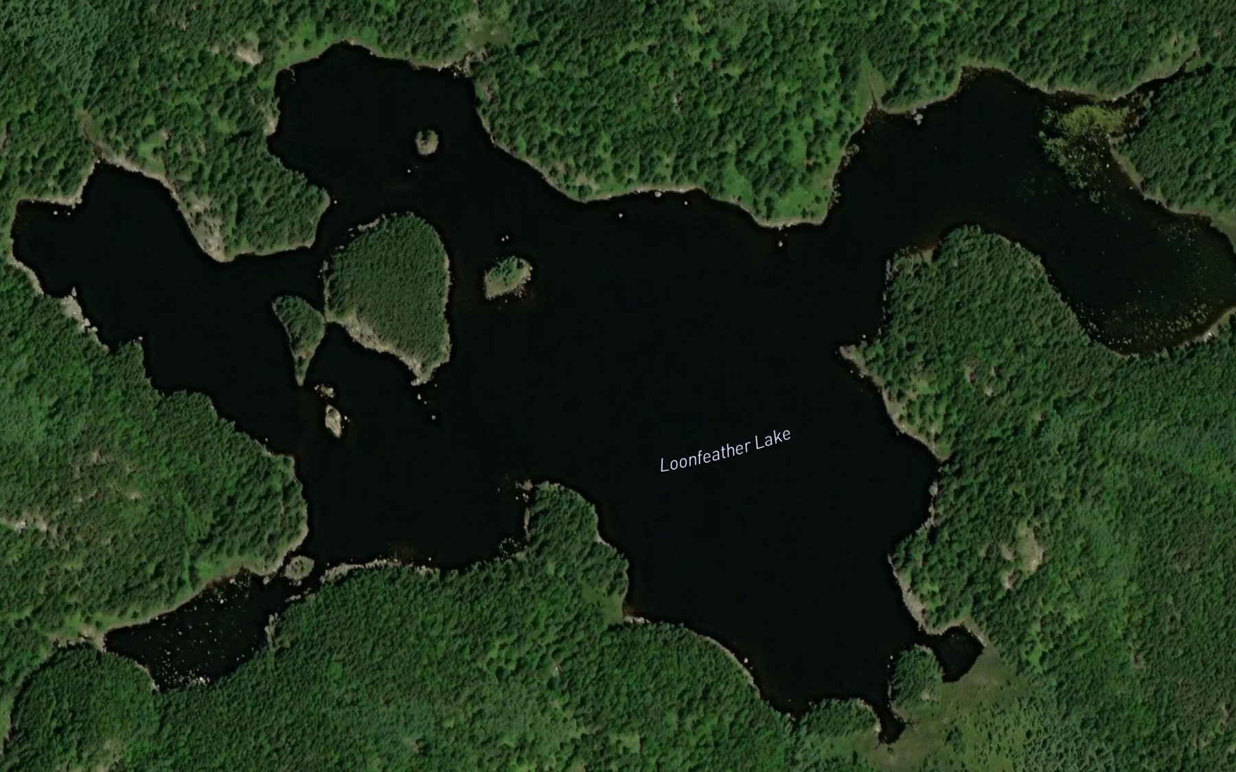 Satellite map of the Loonfeather Lake