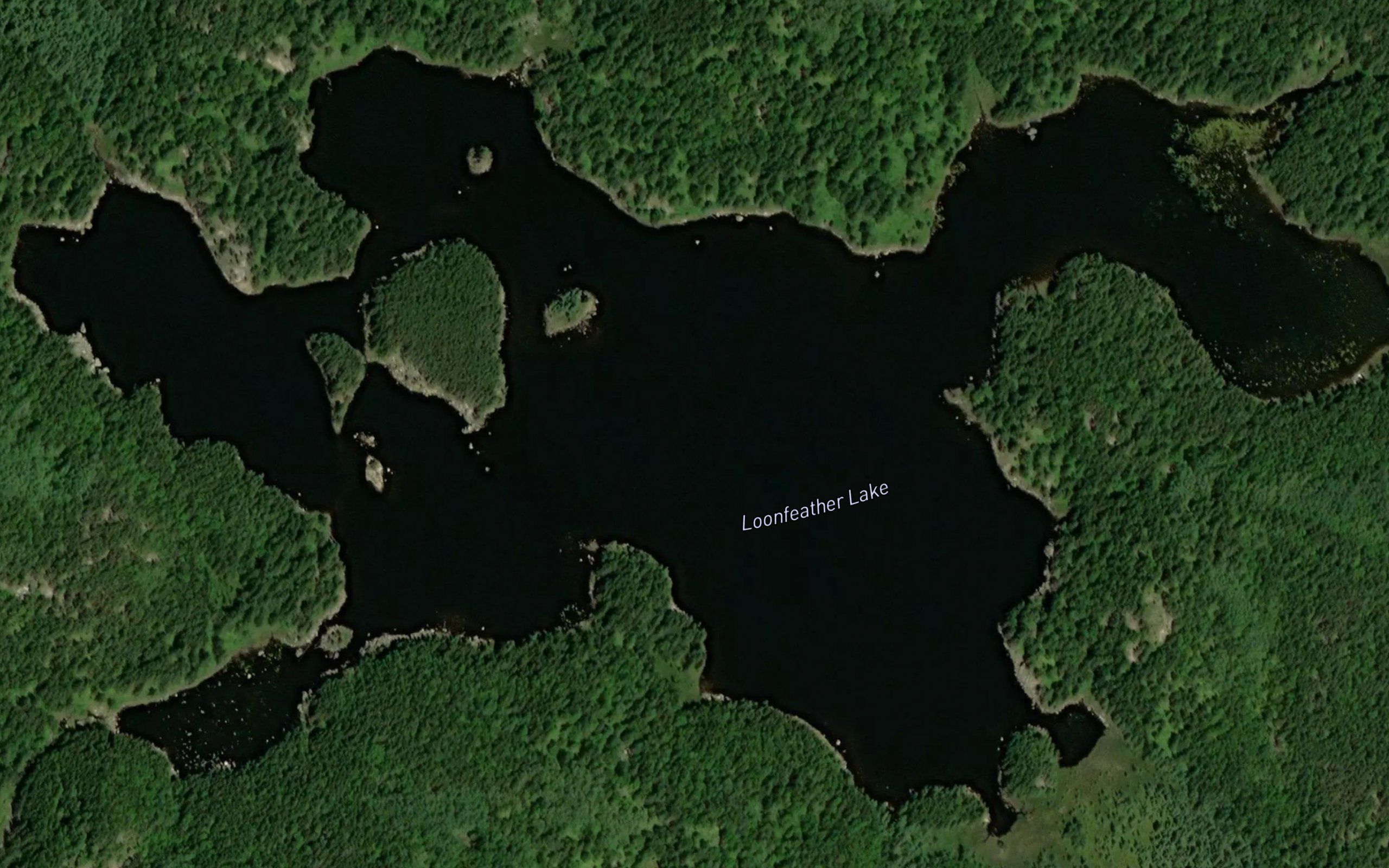 Loonfeather Lake
