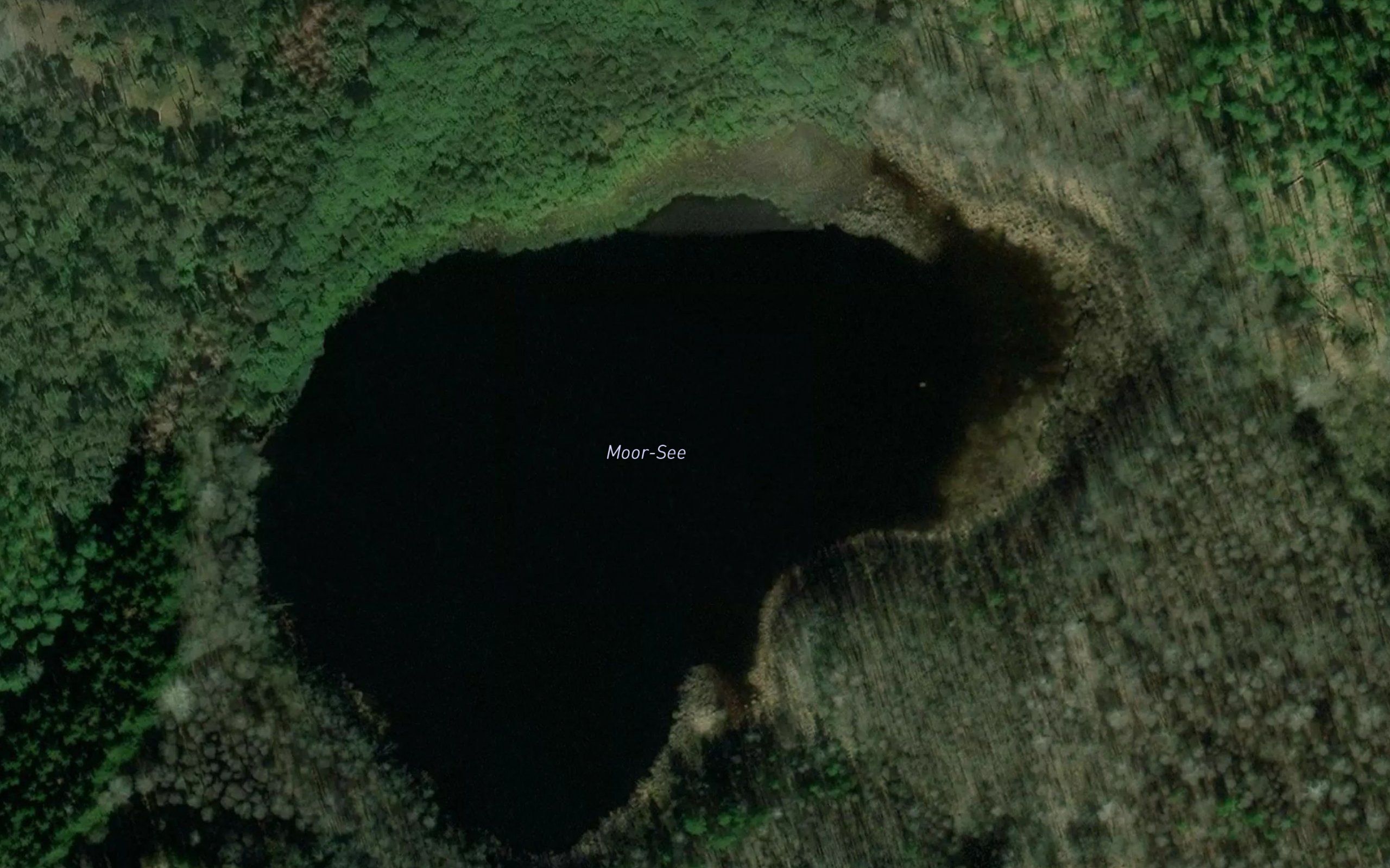 Moor-See