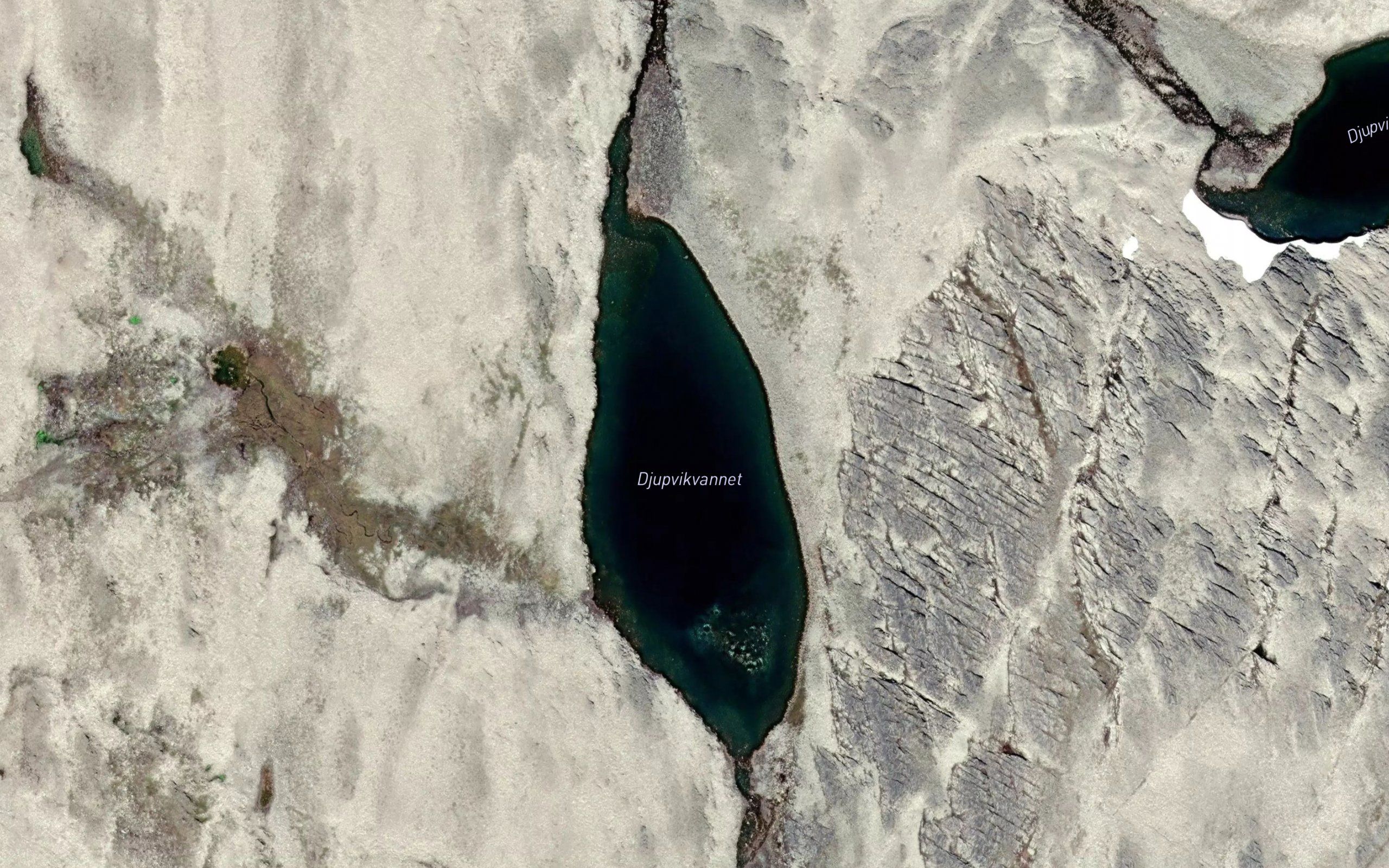 Djupvikvannet