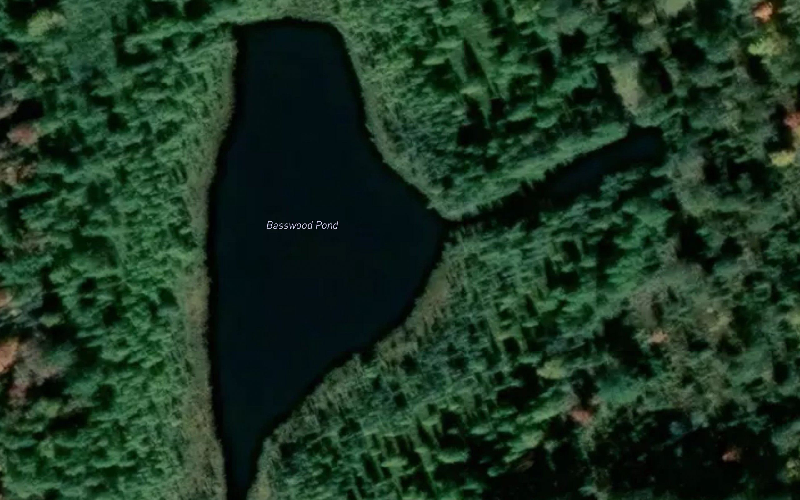 Basswood Pond