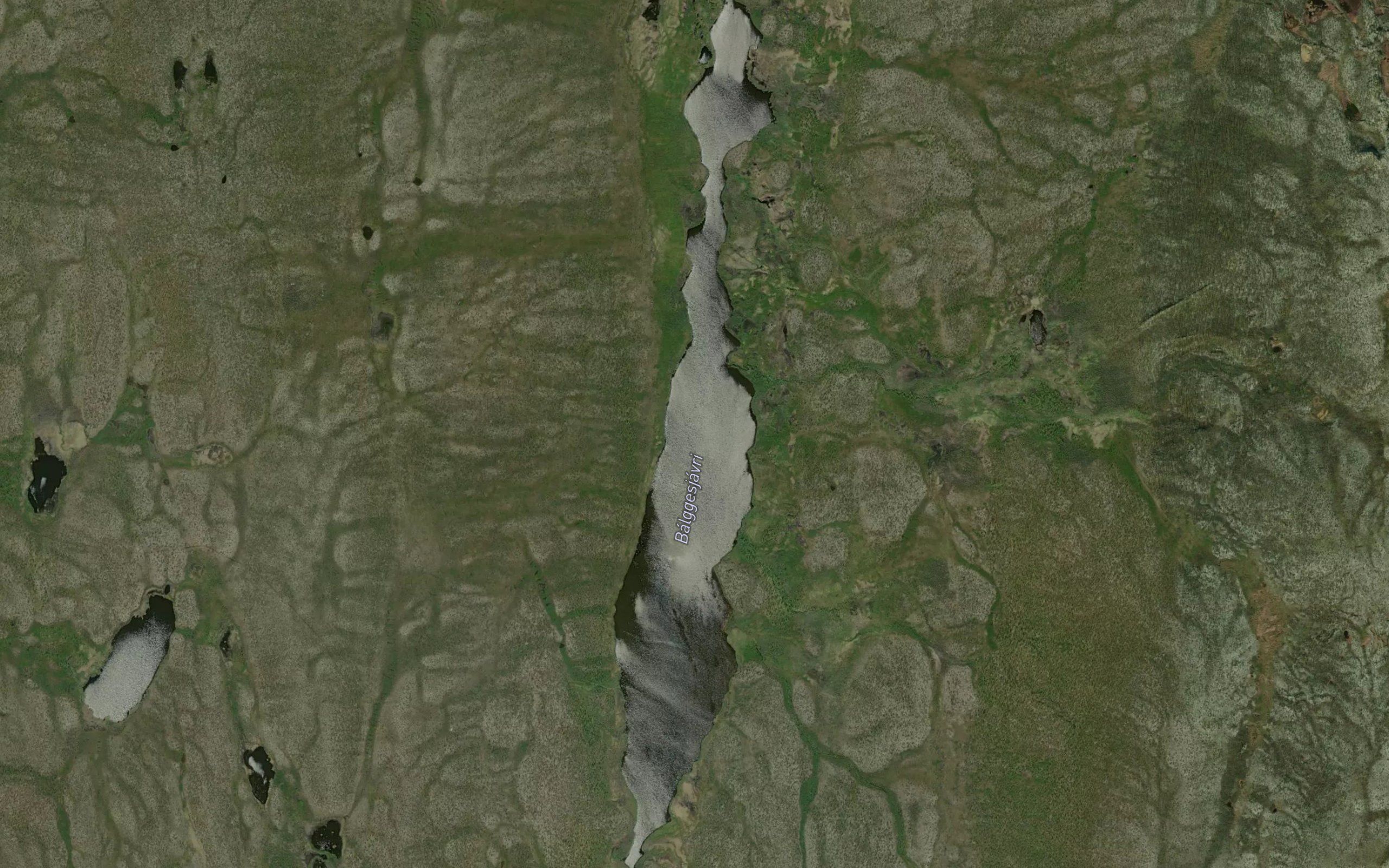 Balgesjavri