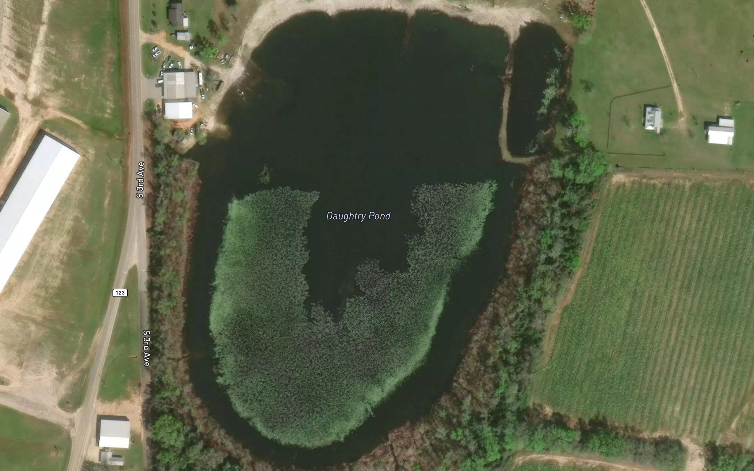 Daughtry Pond