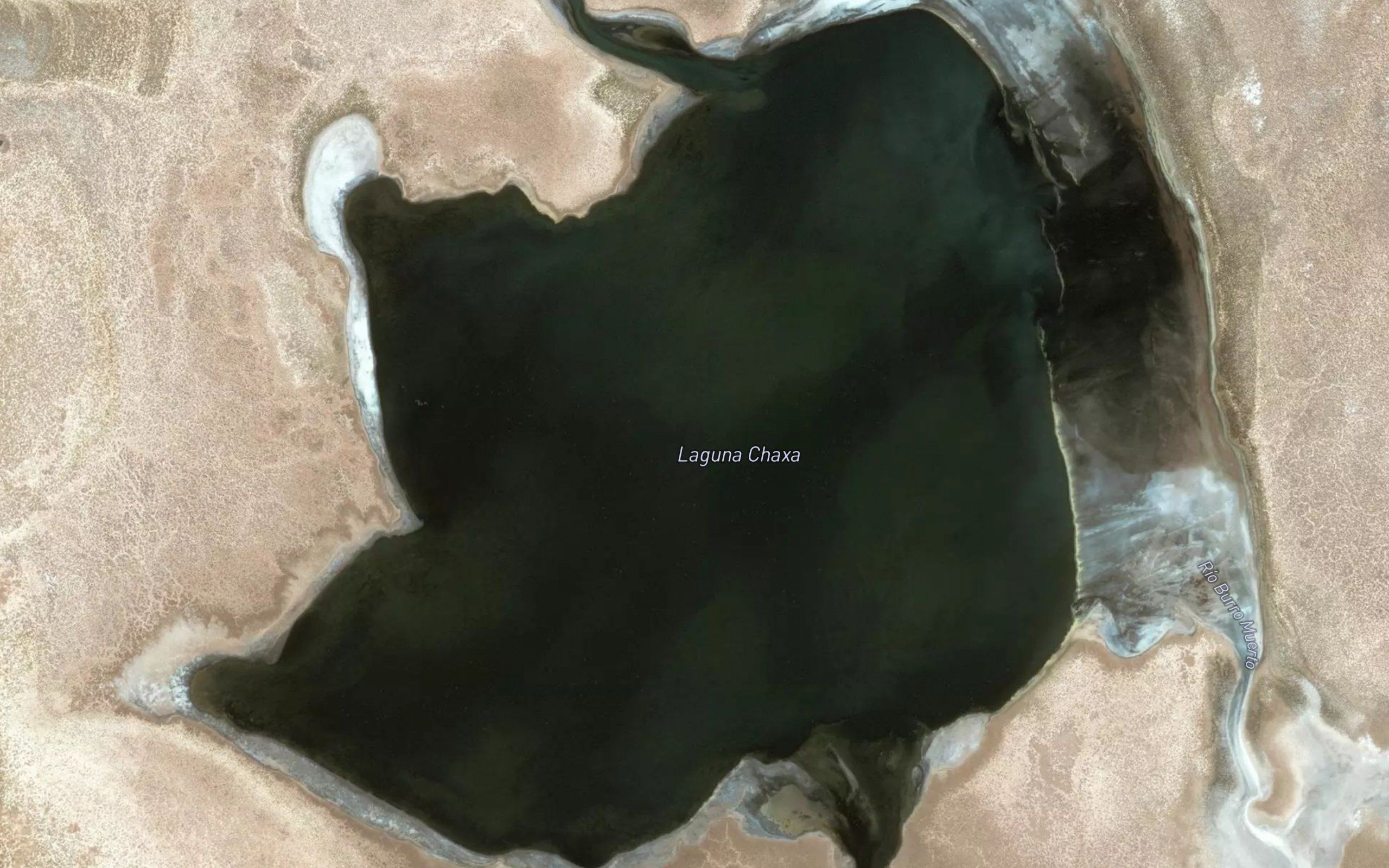 Laguna Chaxa