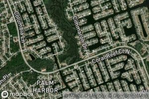 Little Mulberry Branch