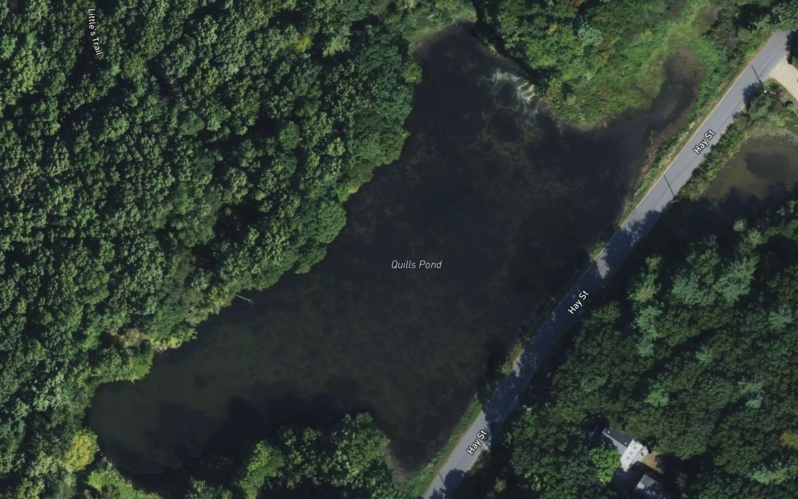 Quills Pond