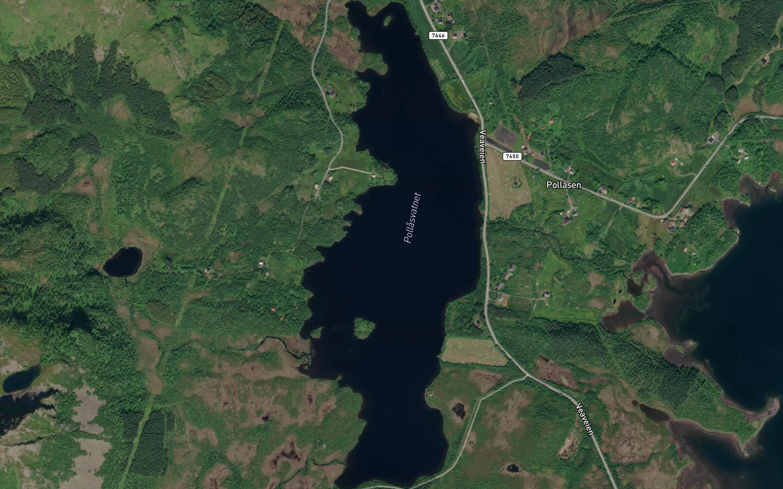 Pollasvatnet