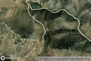 Mustang Spring