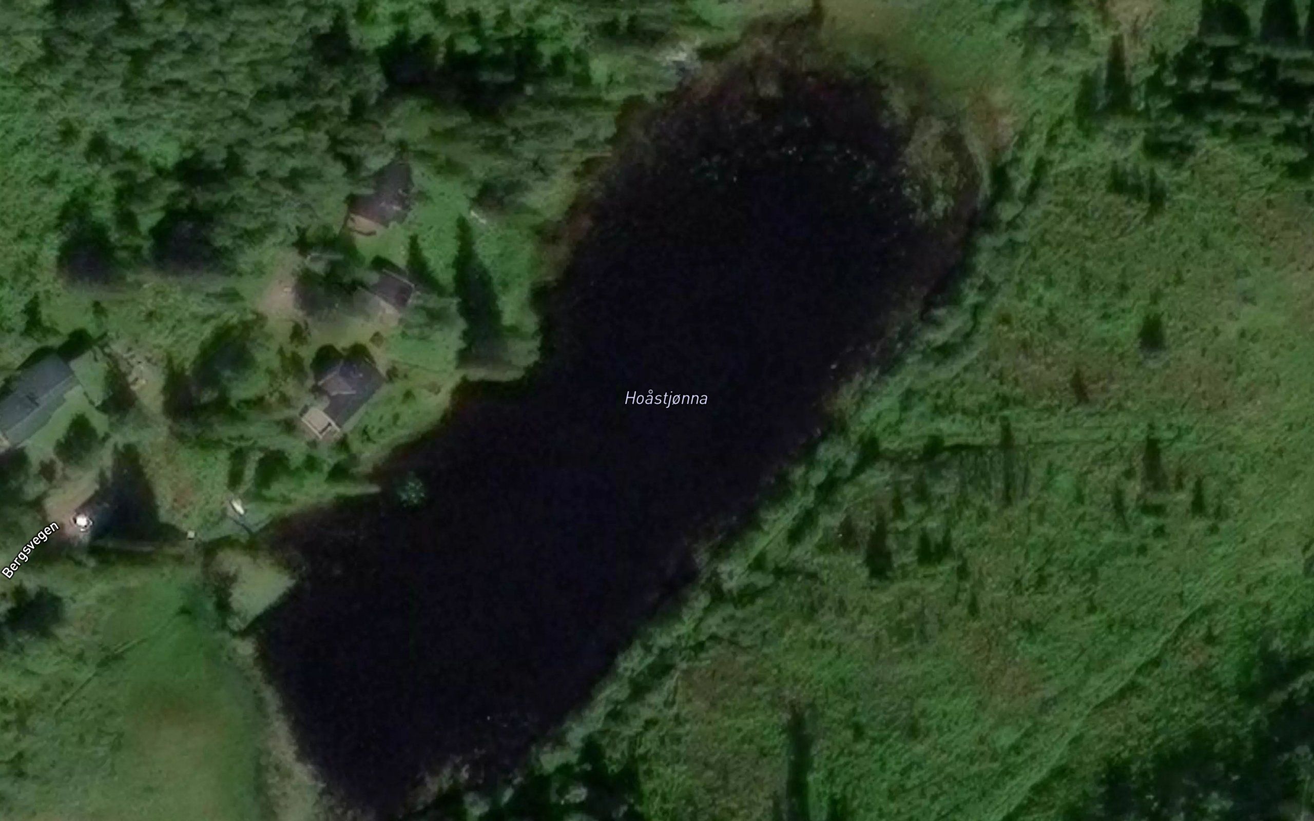Hoastjonna