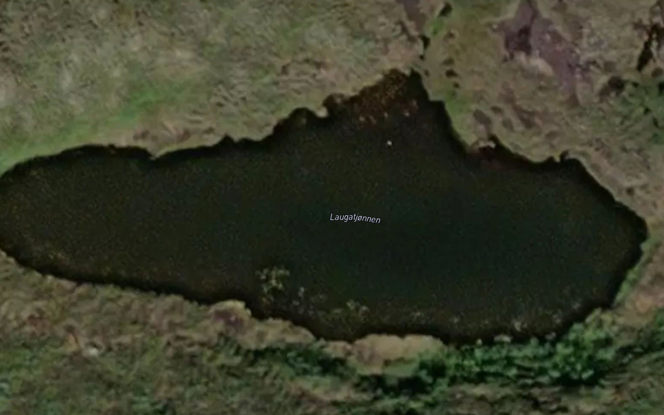Laugatjornen