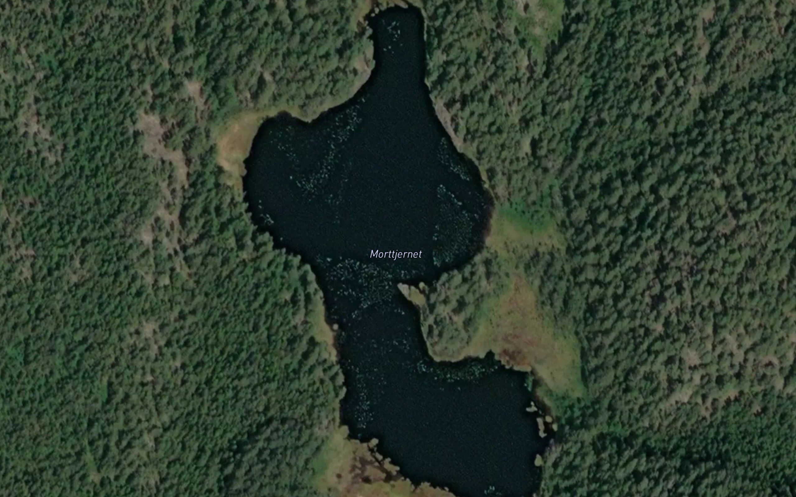 Morttjernet