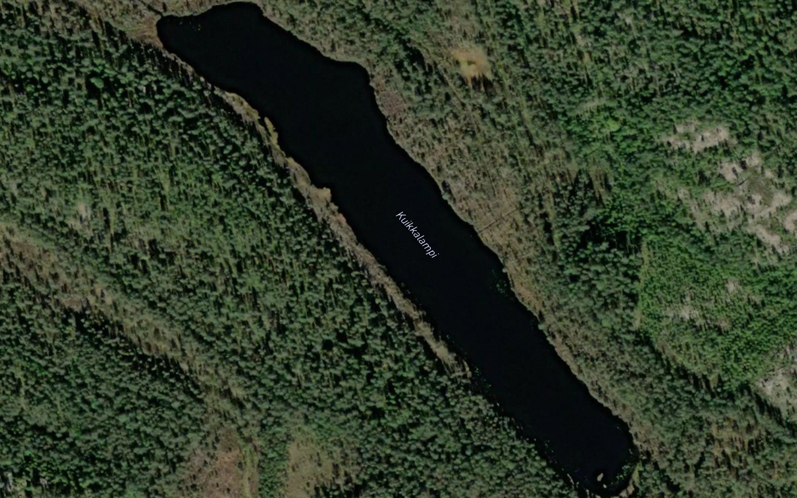 Kuikkalampi