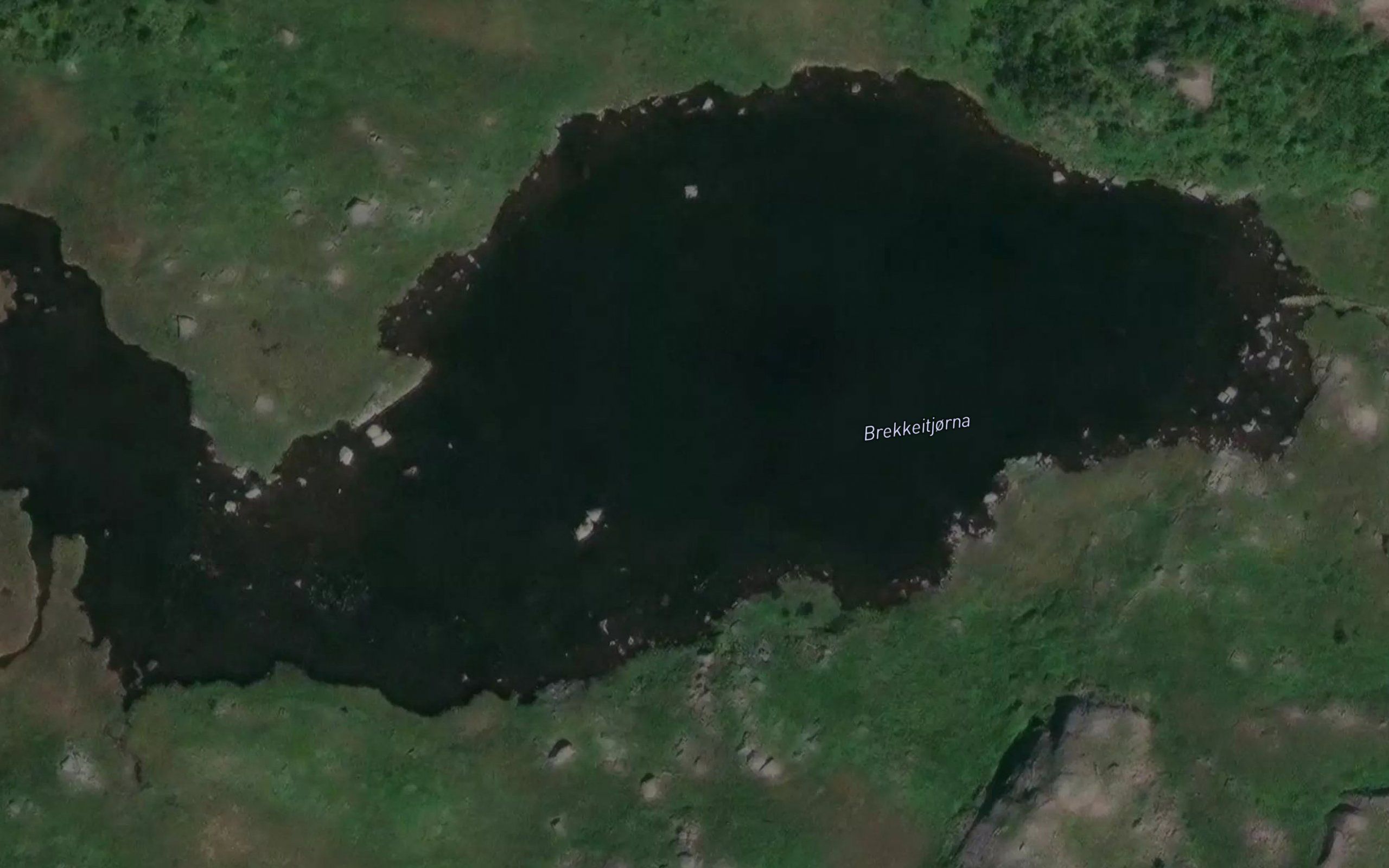 Brekkeitjorna