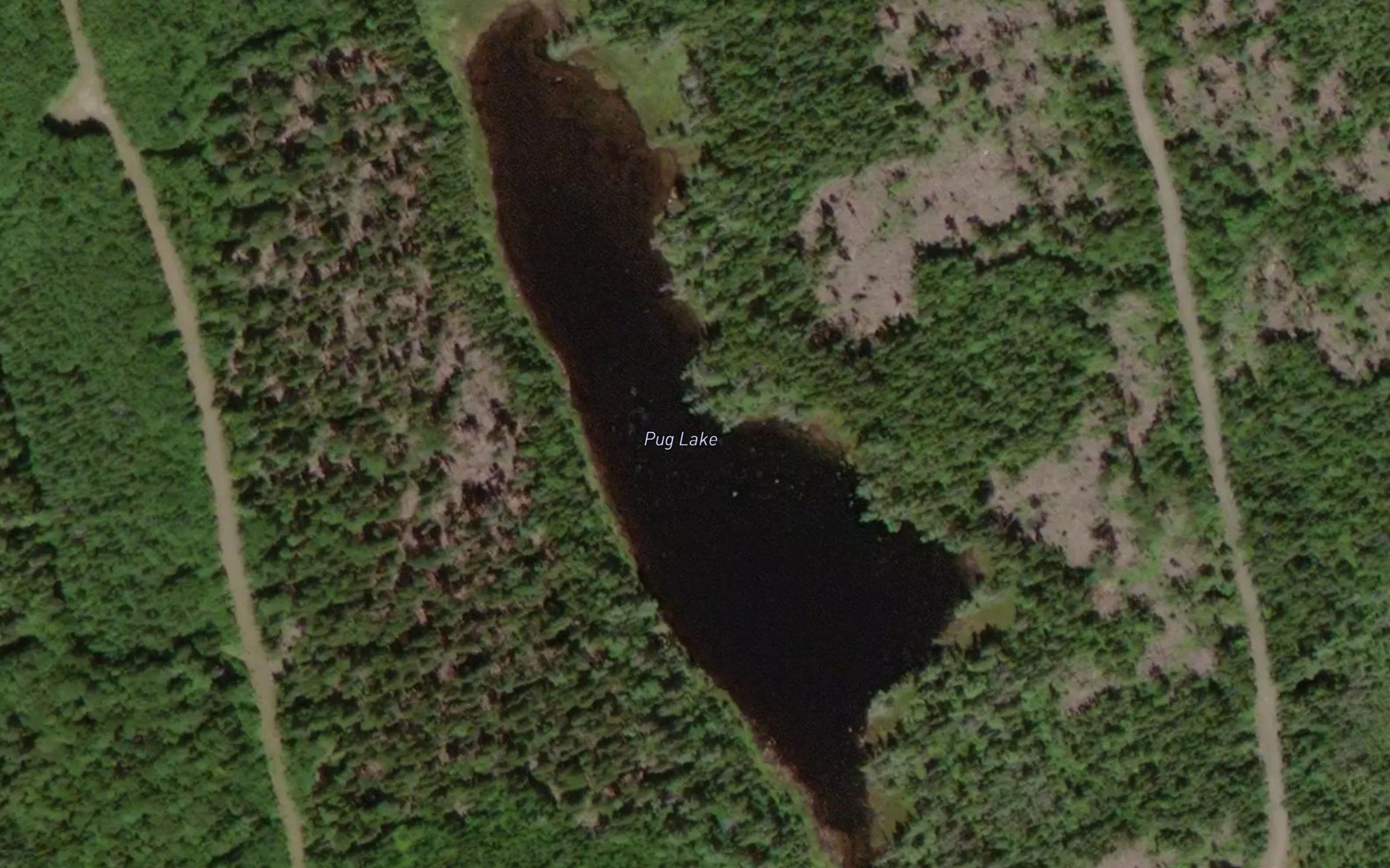 Pug Lake