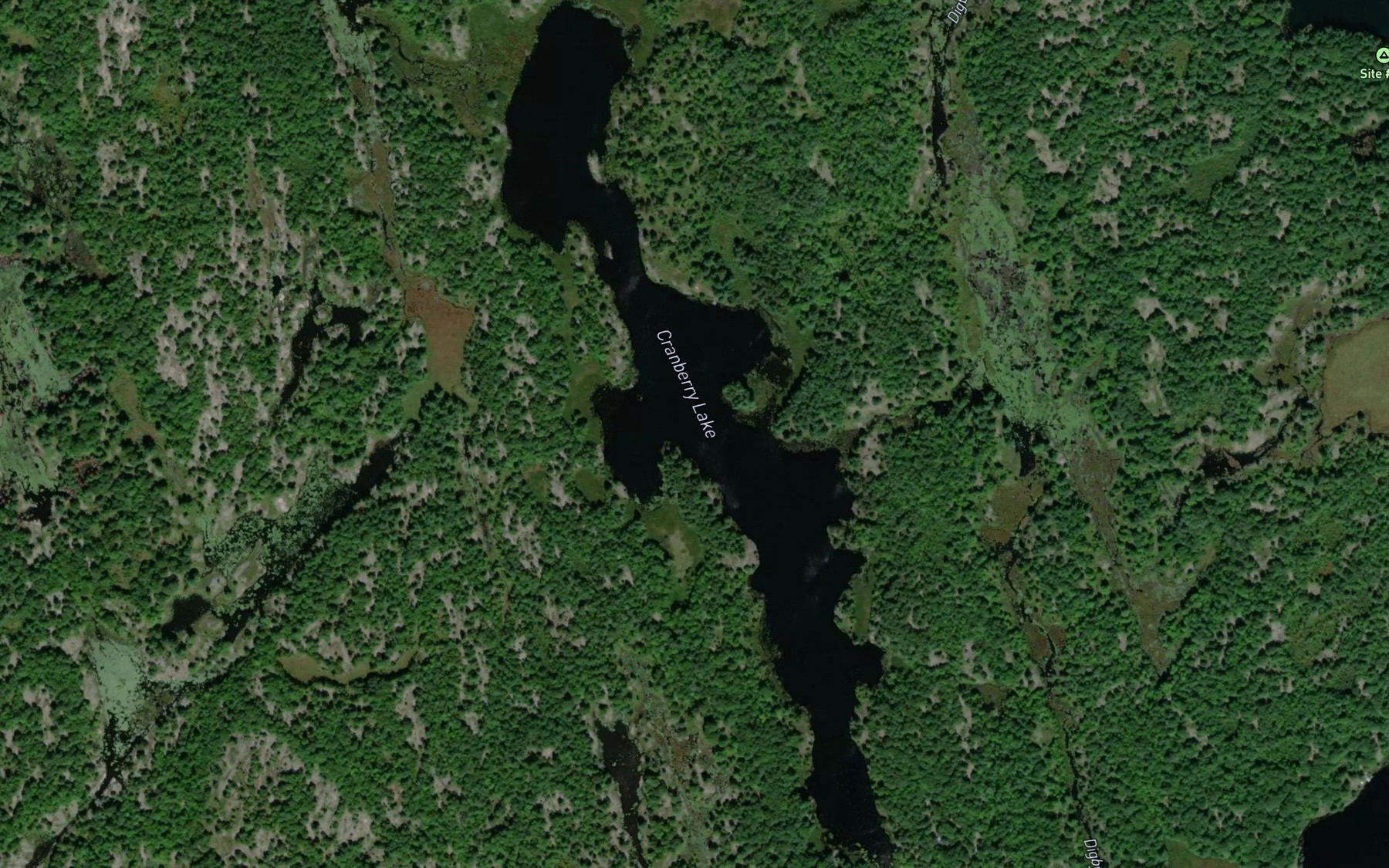 Satellite map of the Cranberry Lake