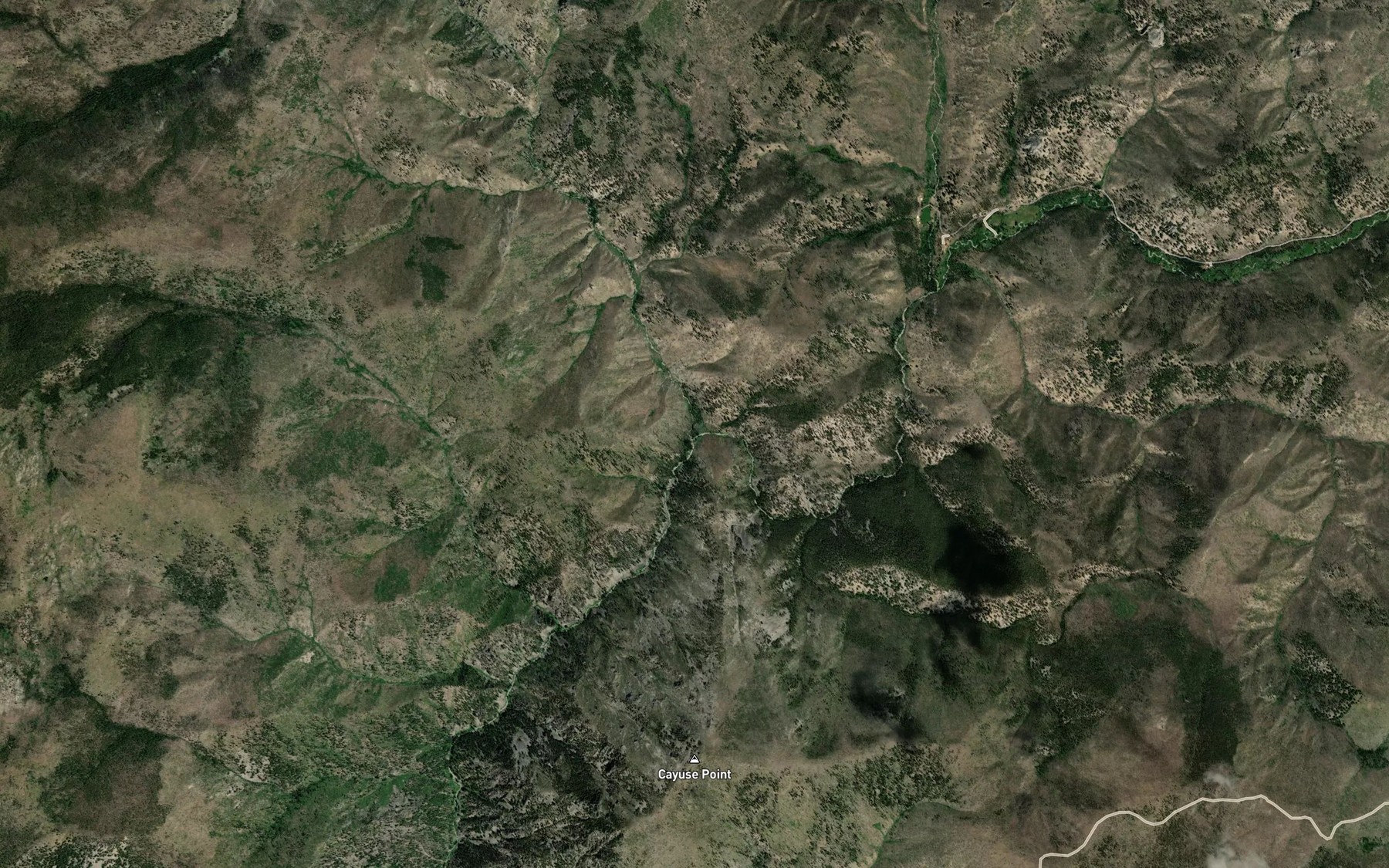 Satellite map of the Cayuse Creek