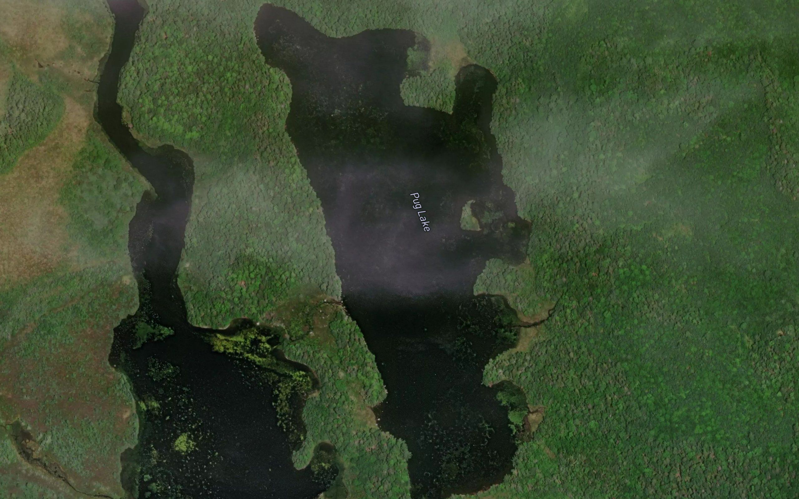 Pug Lake