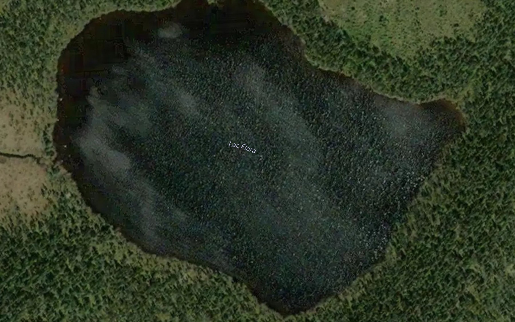 Satellite map of the Lac Flora
