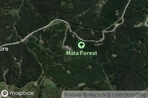 Maungapaukaka Stream